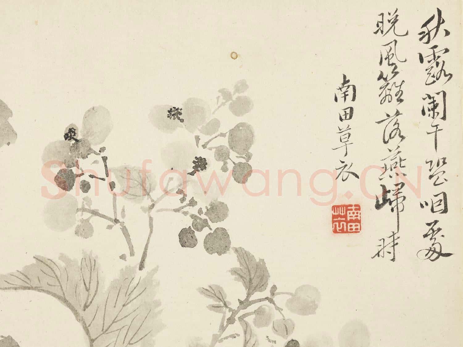 清惲壽平寫生花卉 冊 秋露闌干