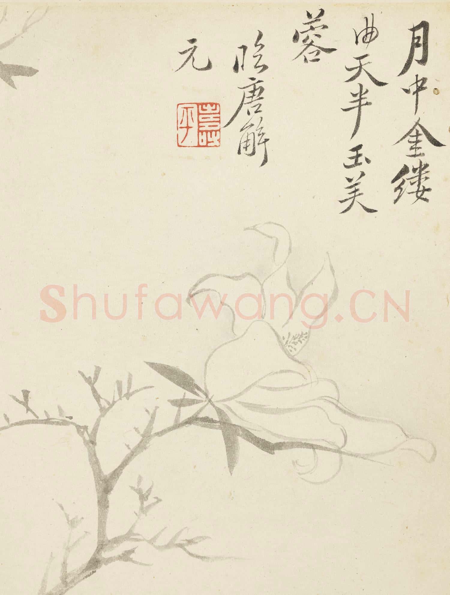 清惲壽平寫生花卉 冊 玉芙蓉