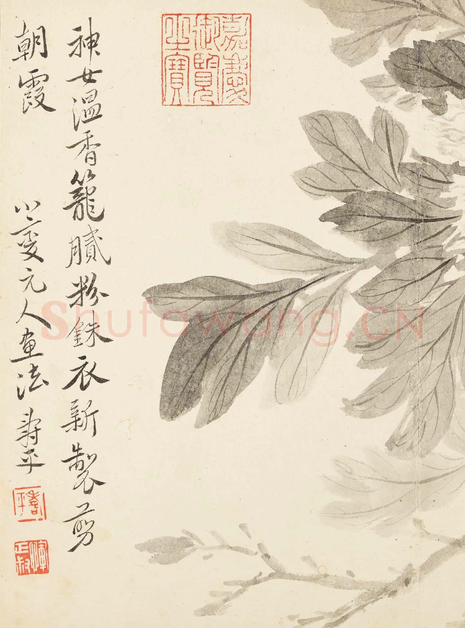 清惲壽平寫生花卉 冊 牡丹