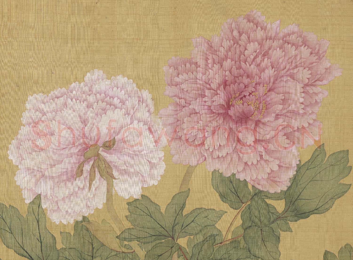 清惲壽平牡丹 冊 牡丹(四）