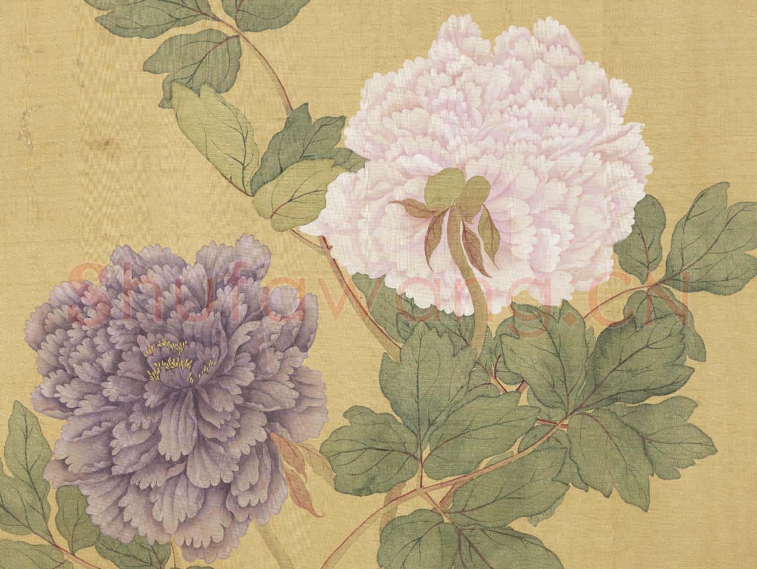 清惲壽平牡丹 冊 牡丹(六）