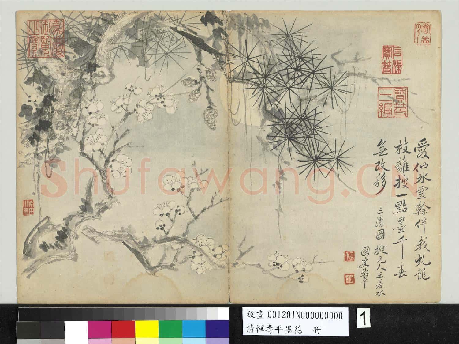 清惲壽平墨花 冊 梅松月影