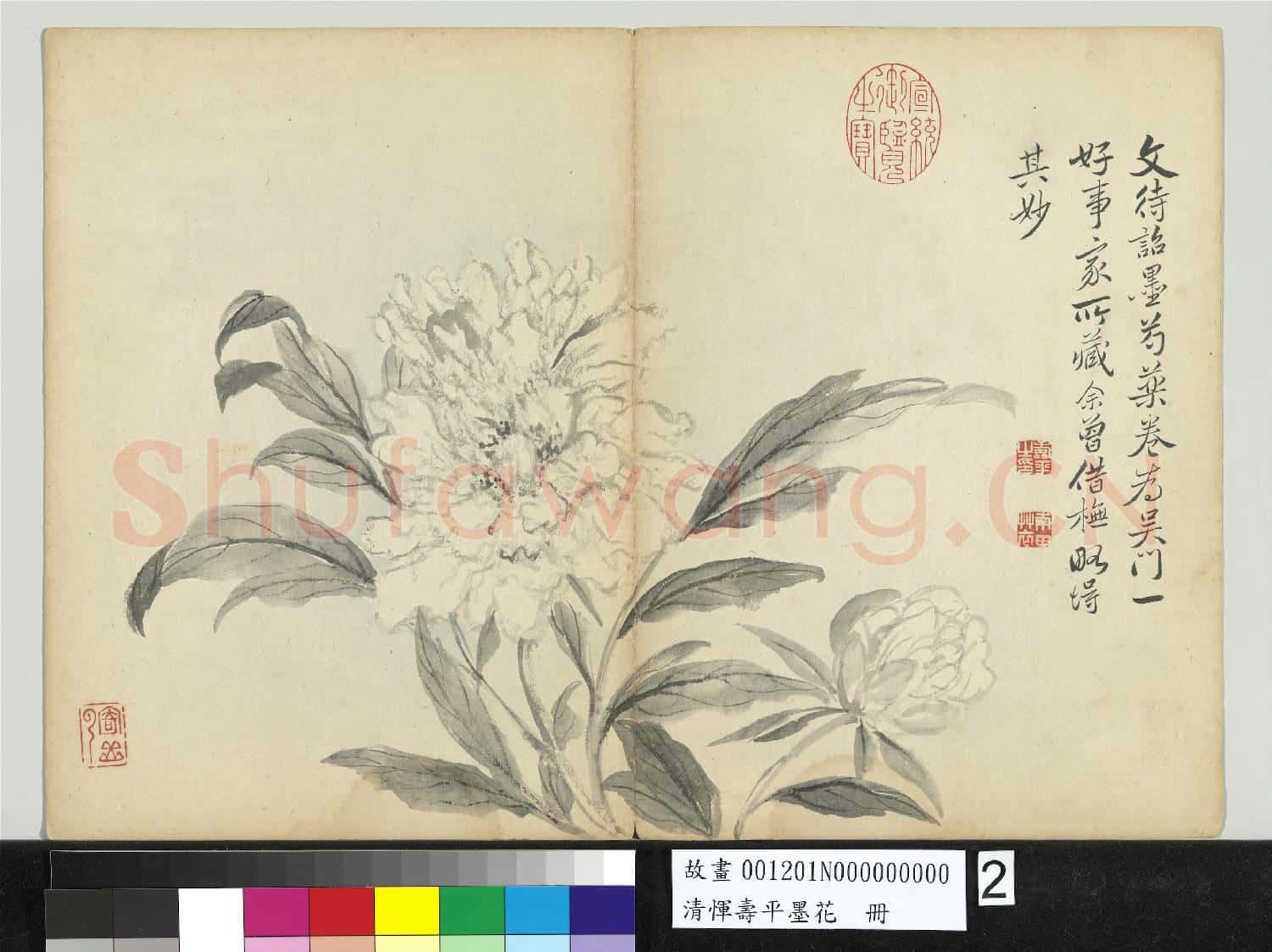 清惲壽平墨花 冊 芍藥
