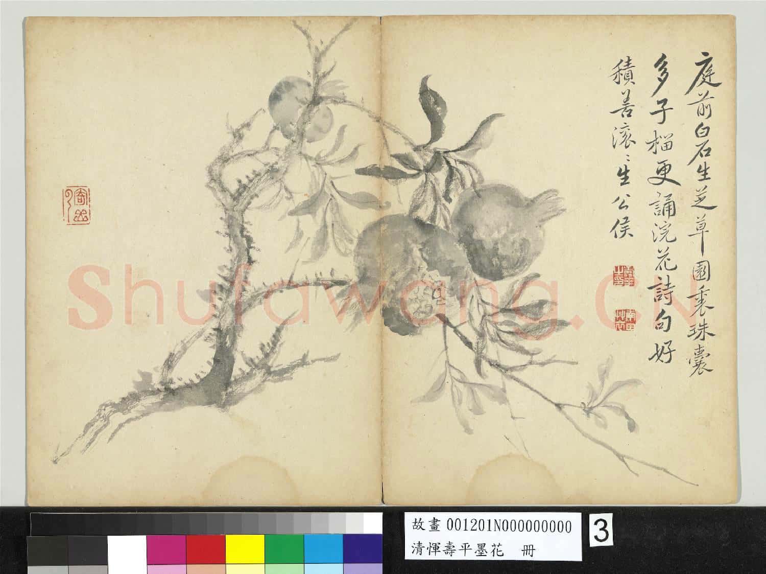 清惲壽平墨花 冊 石榴