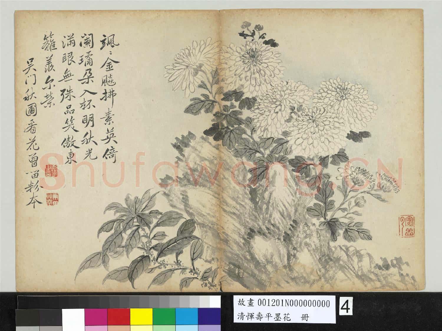 清惲壽平墨花 冊 菊花雁來紅