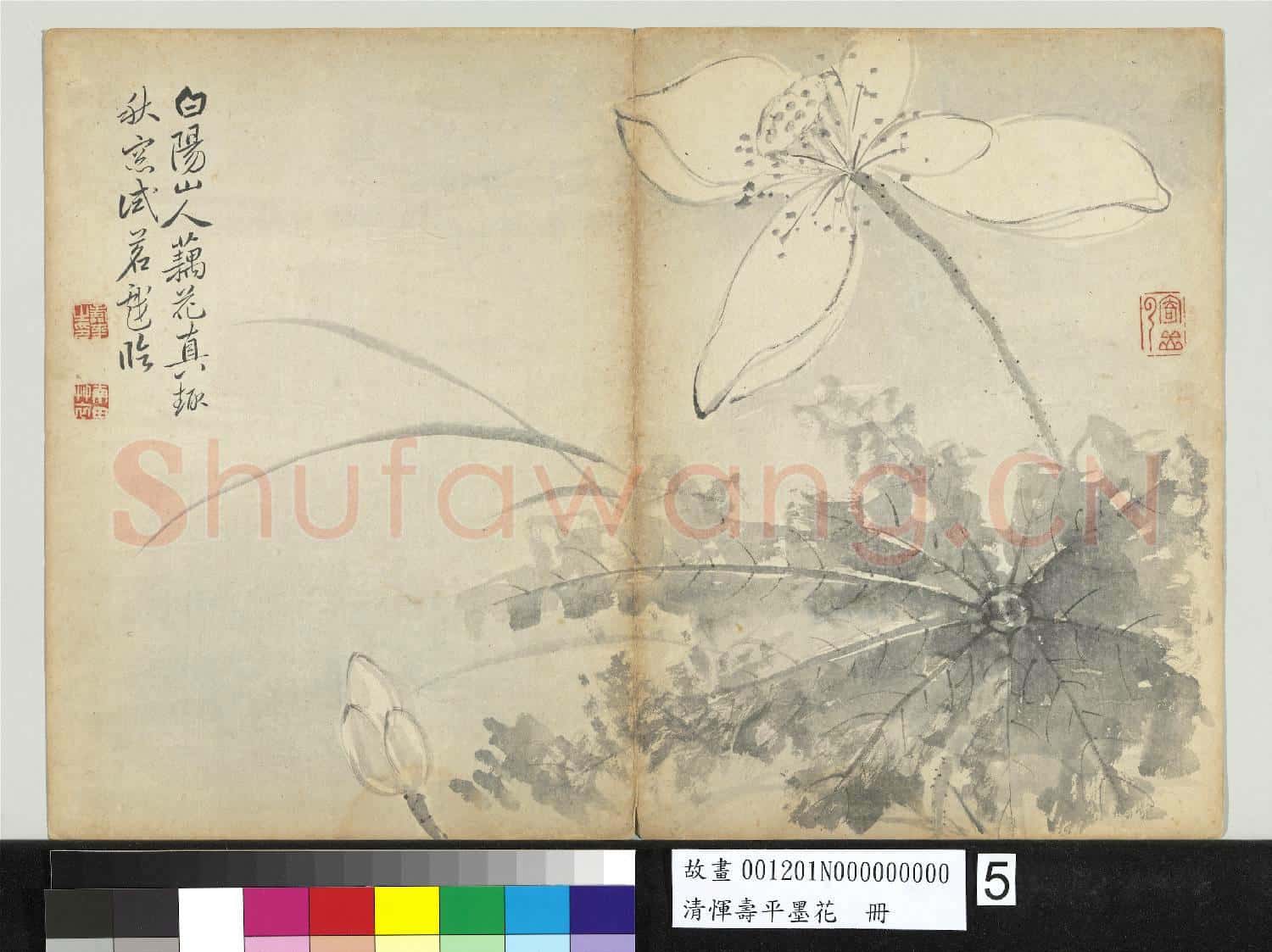 清惲壽平墨花 冊 荷花