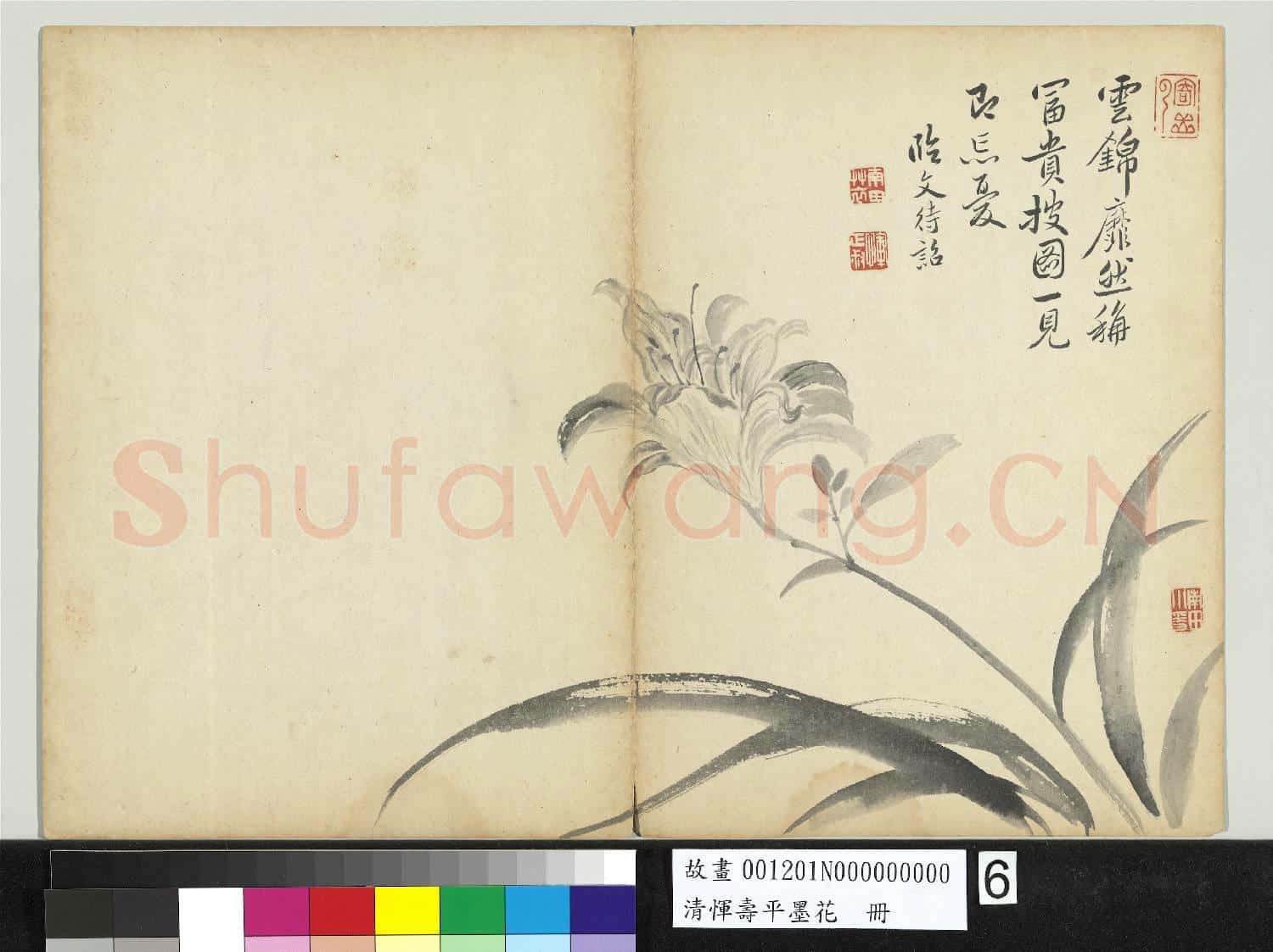 清惲壽平墨花 冊 萱花