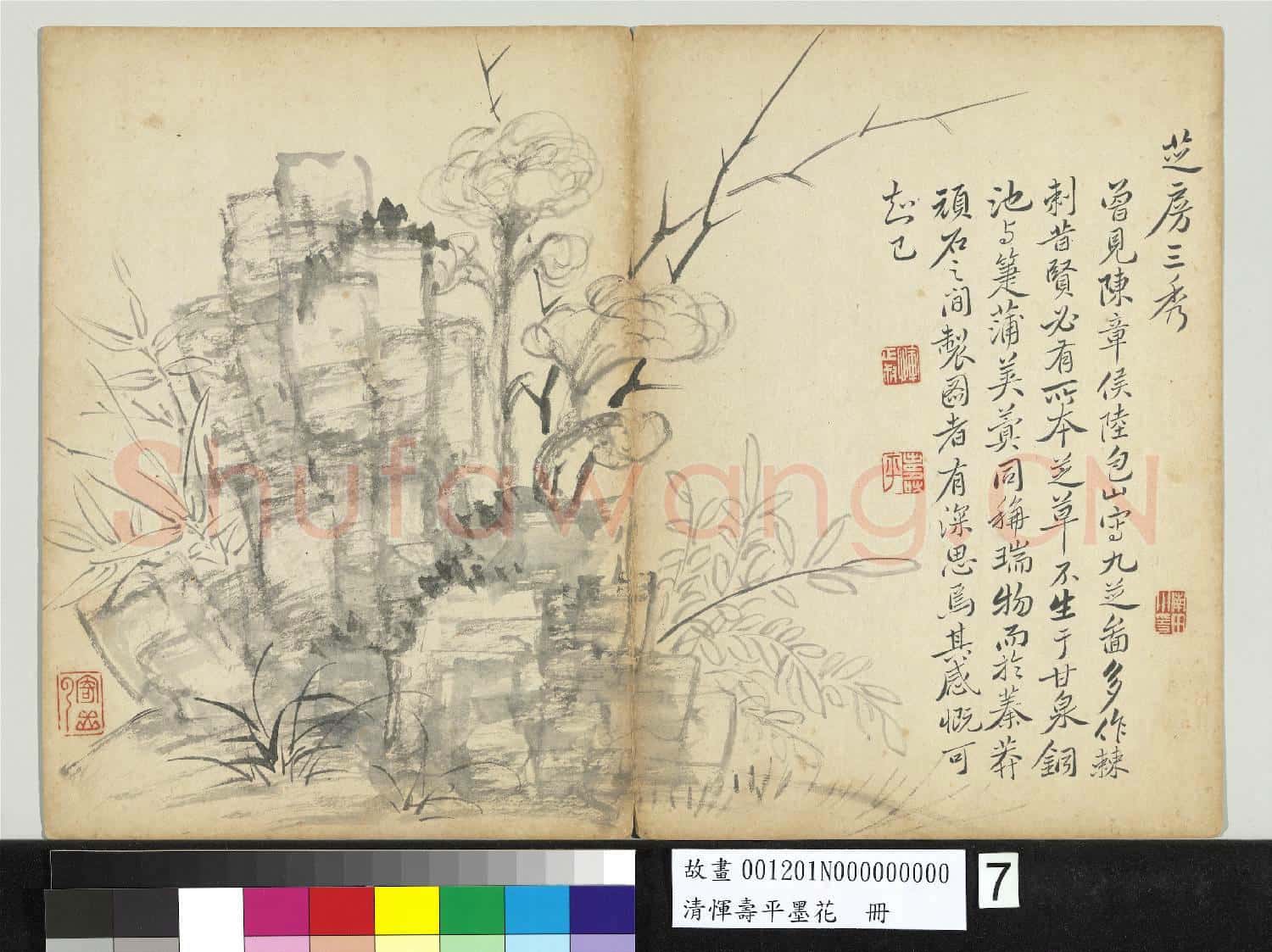 清惲壽平墨花 冊 芝草竹石