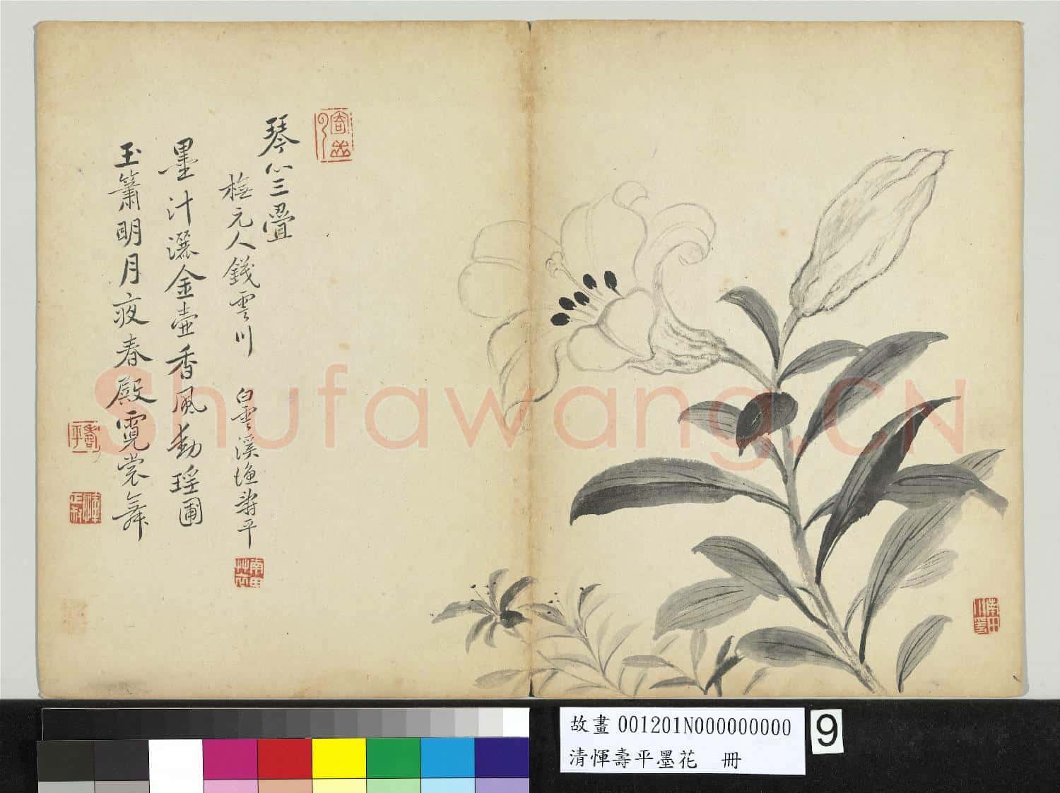 清惲壽平墨花 冊 百合花