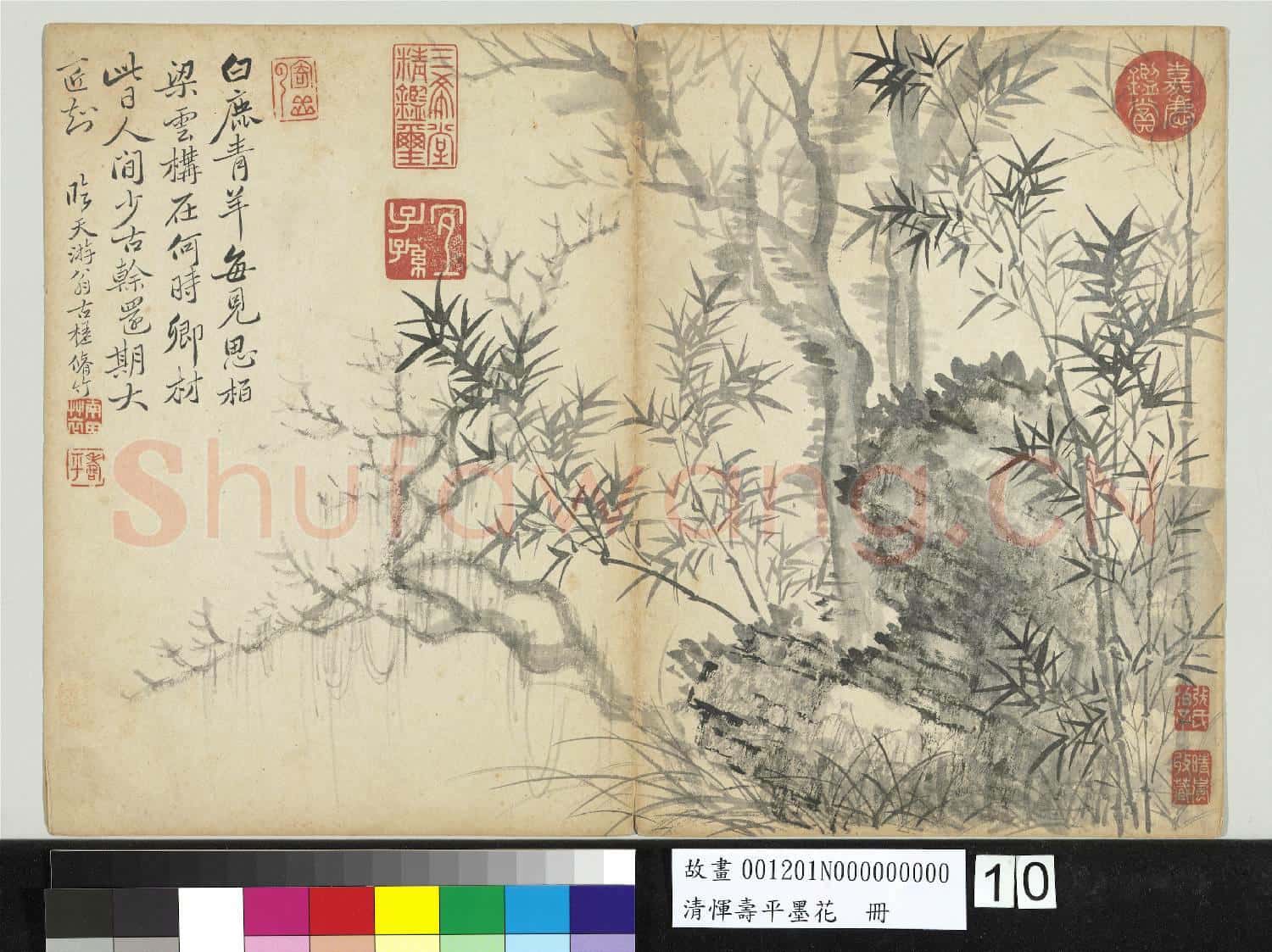 清惲壽平墨花 冊 枯木竹石
