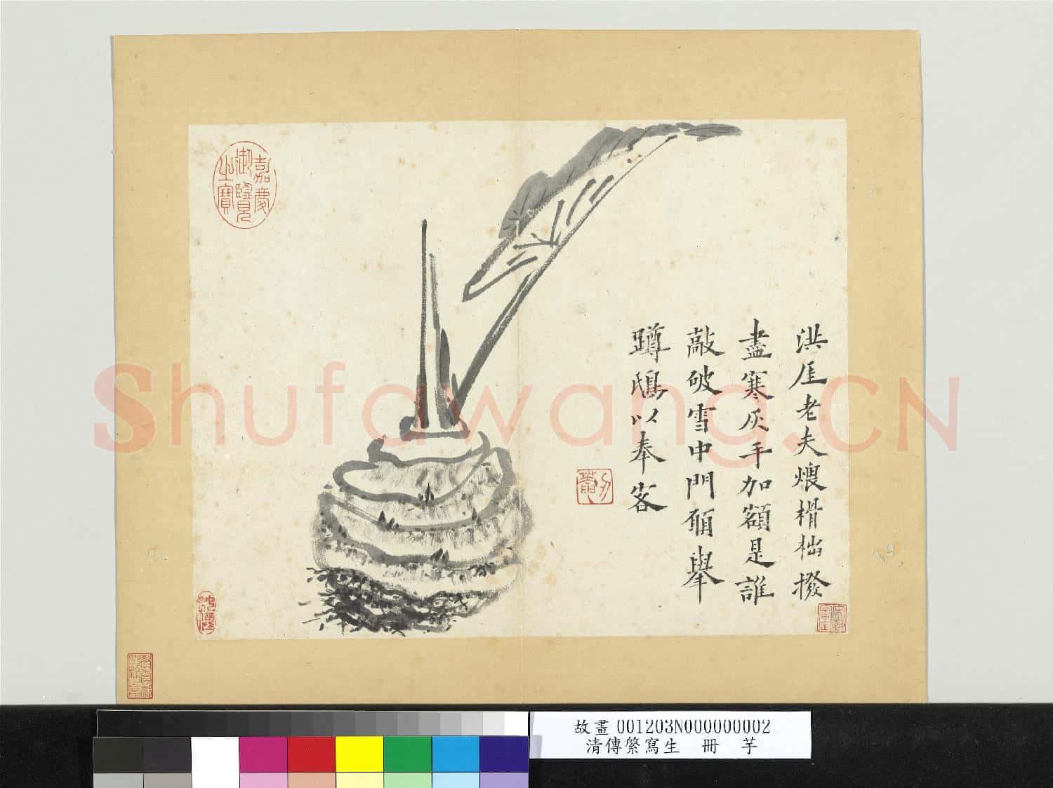 清傳綮寫生 冊 芋