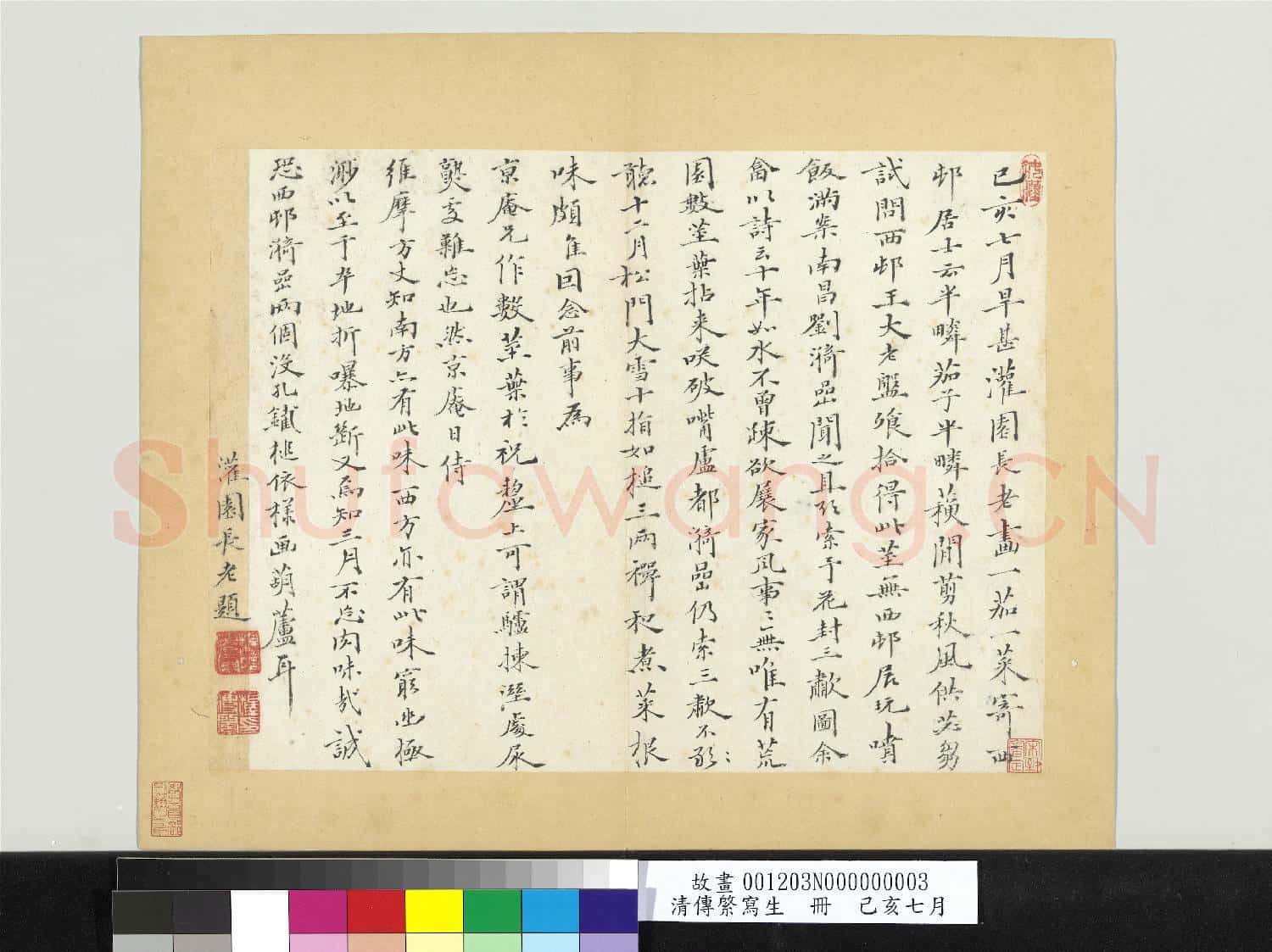 清傳綮寫生 冊 己亥七月