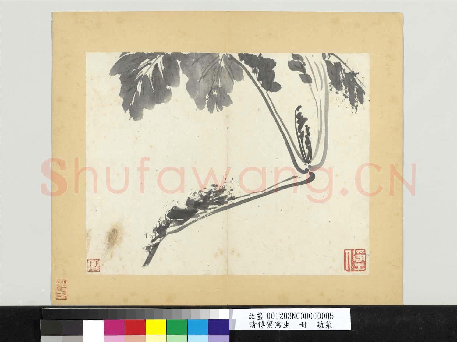 清傳綮寫生 冊 蔬菜
