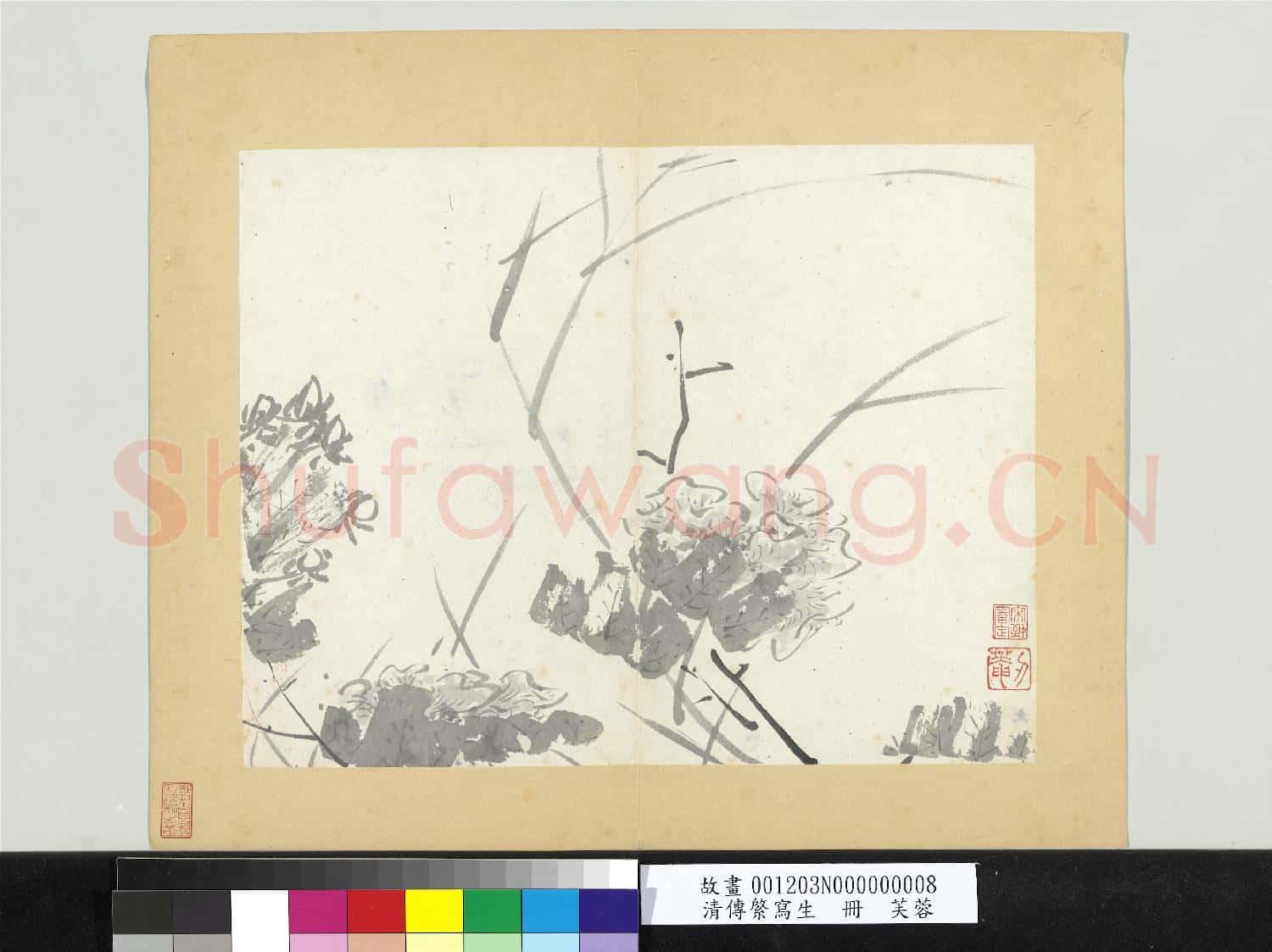 清傳綮寫生 冊 芙蓉