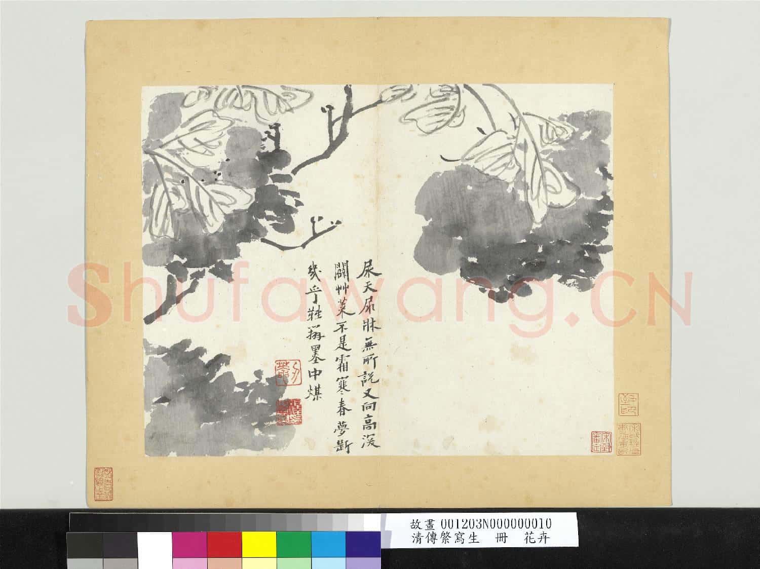 清傳綮寫生 冊 花卉
