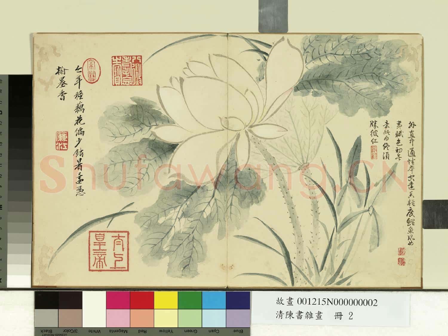 清陳書雜畫 冊 荷花