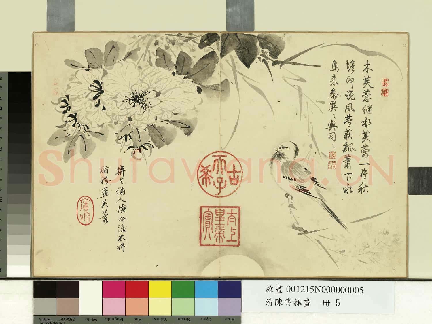 清陳書雜畫 冊 芙蓉寒雀