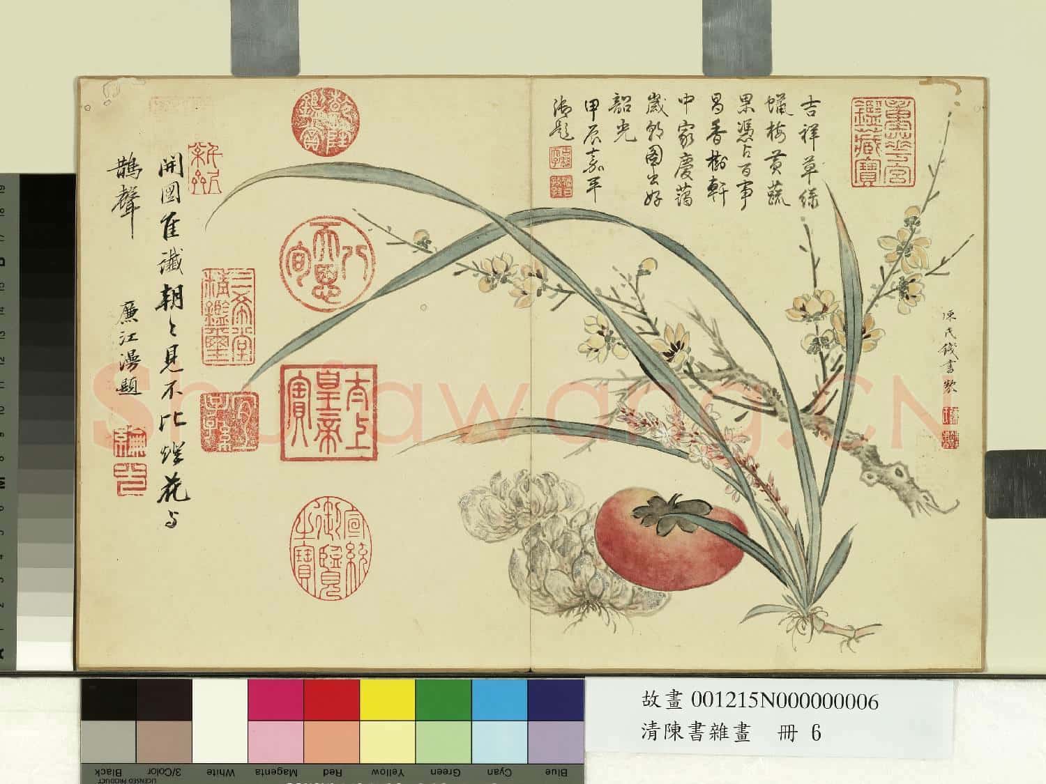 清陳書雜畫 冊 吉祥花