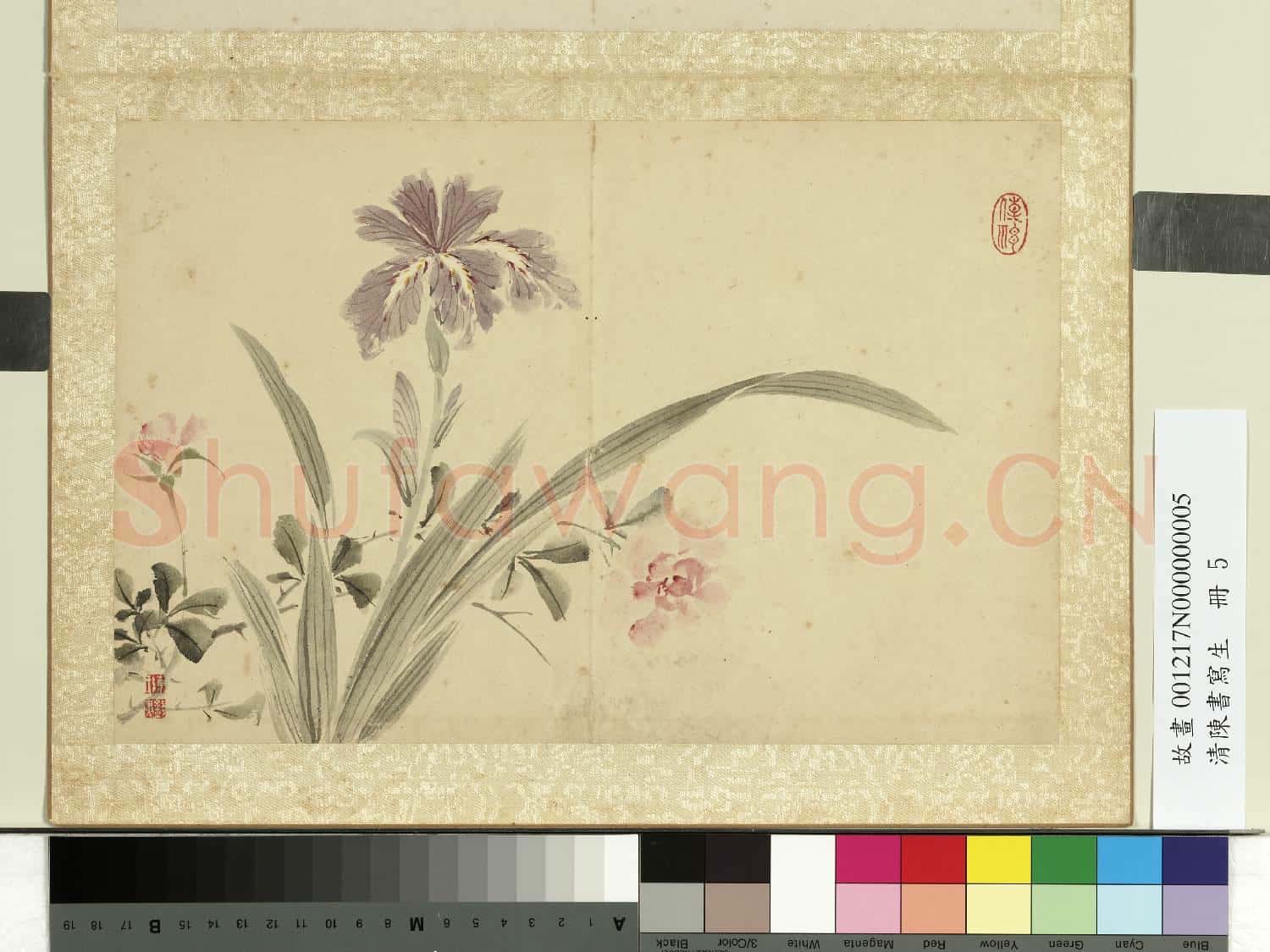 清陳書寫生 冊 蝴蝶花薔薇