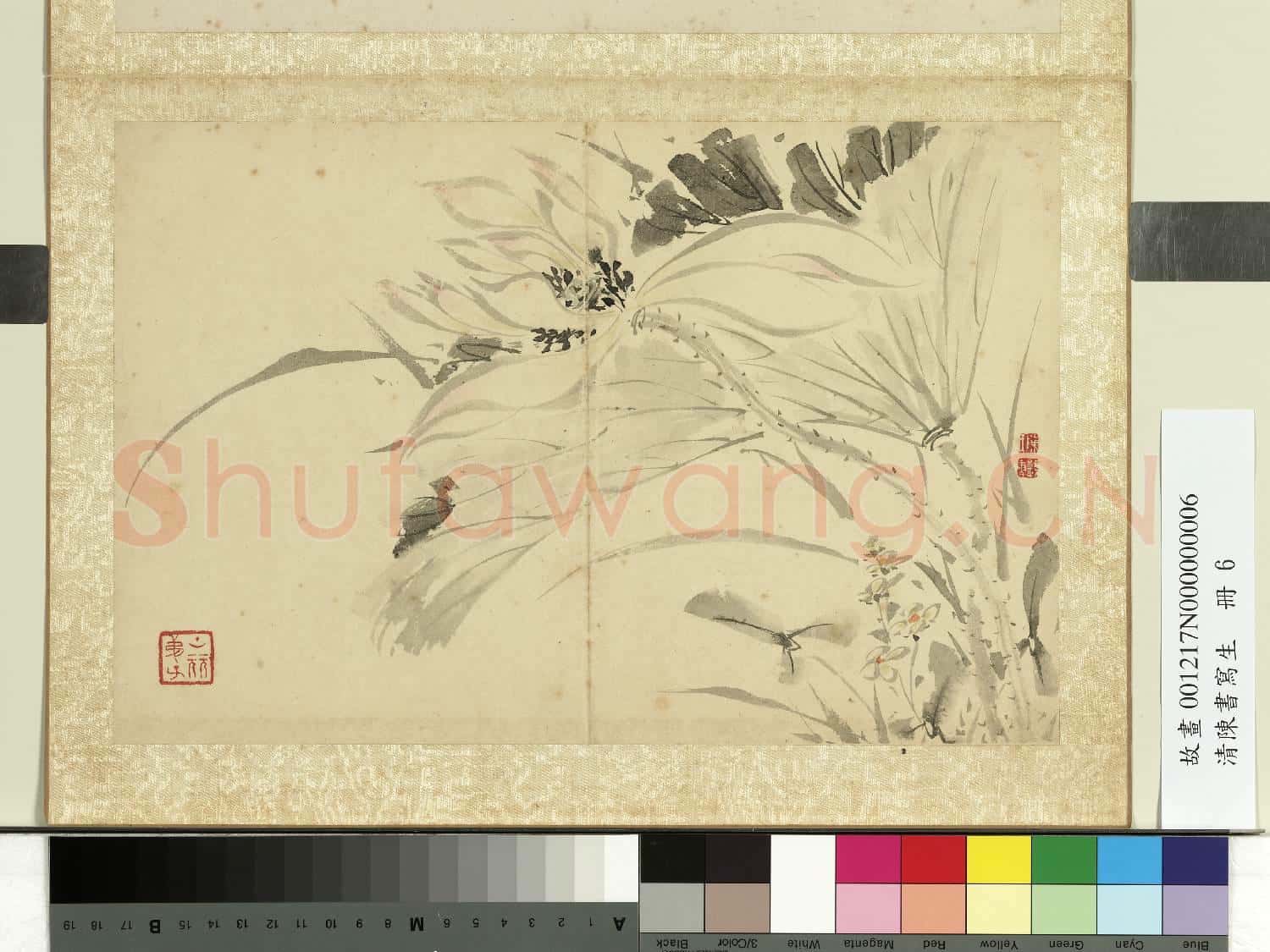 清陳書寫生 冊 荷花慈菇