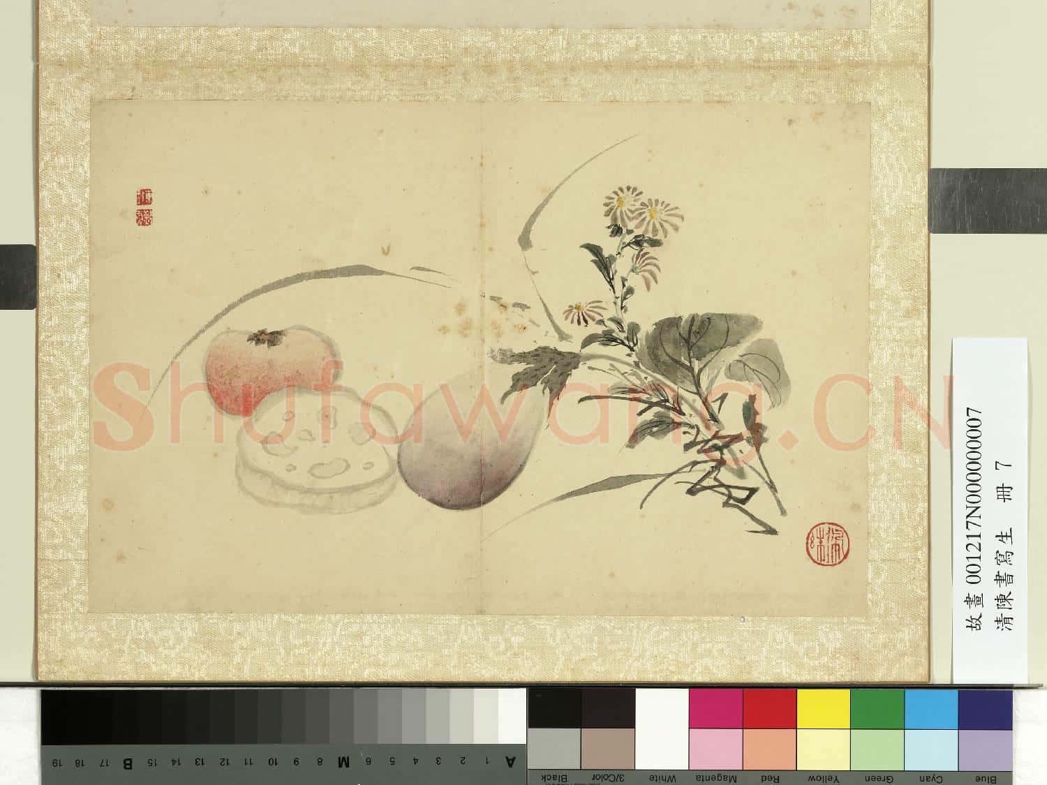 清陳書寫生 冊 蔬果藍菊