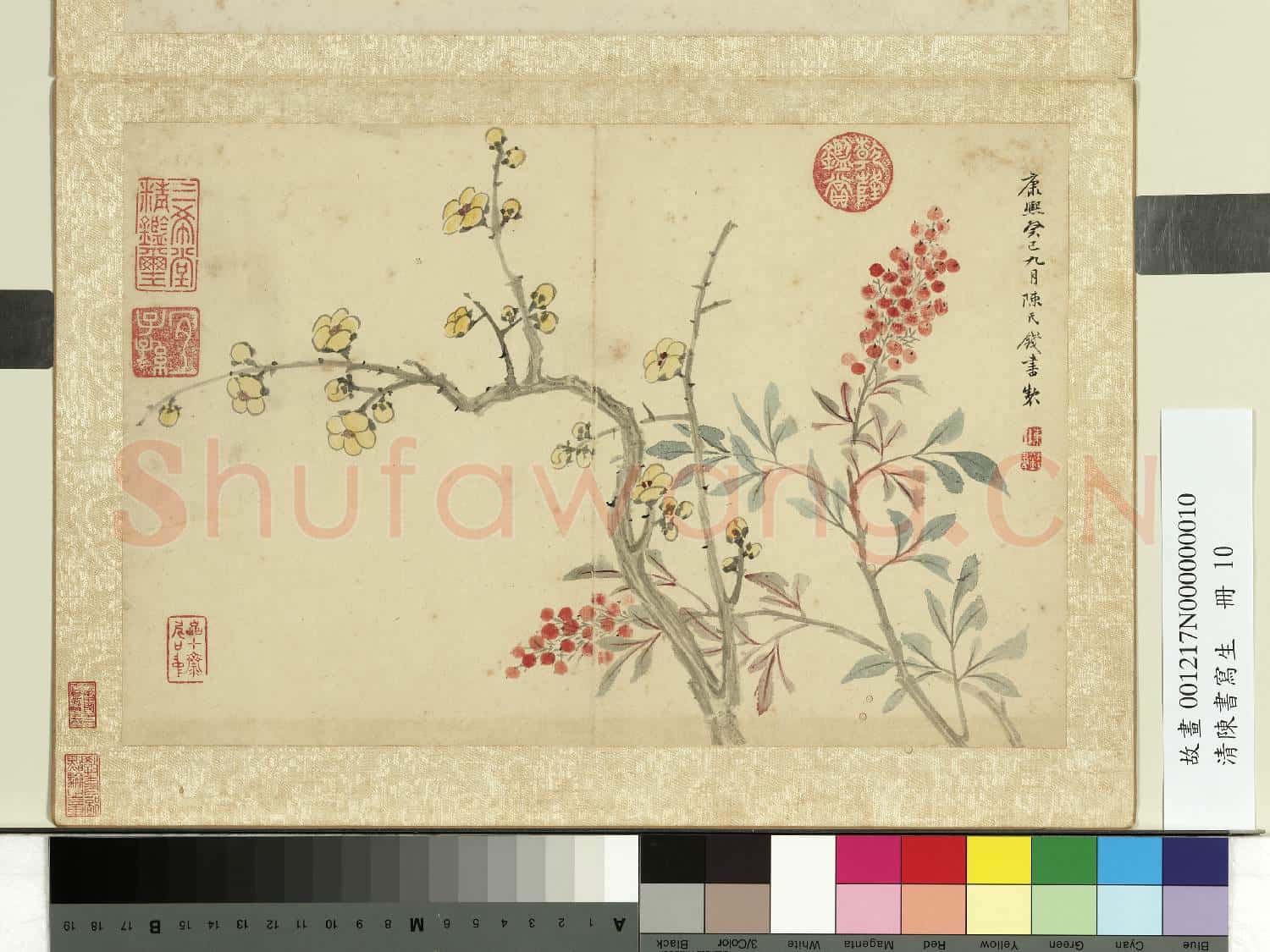 清陳書寫生 冊 蠟梅天竹