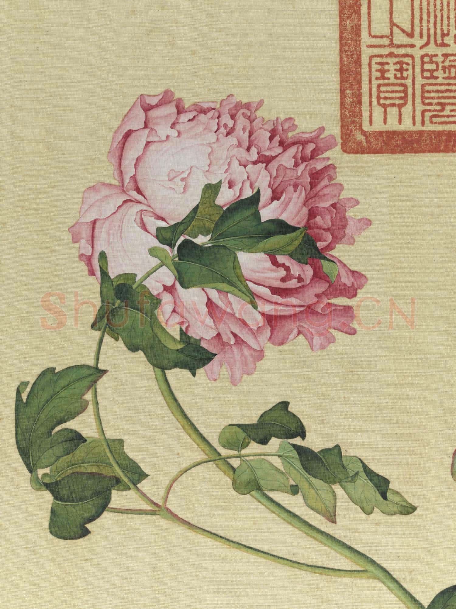 清郎世寧畫仙萼長春 冊 牡丹