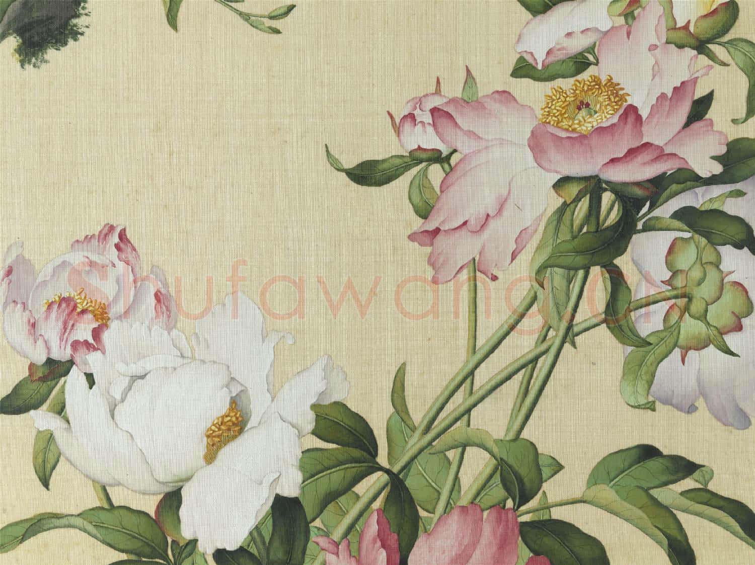清郎世寧畫仙萼長春 冊 芍藥