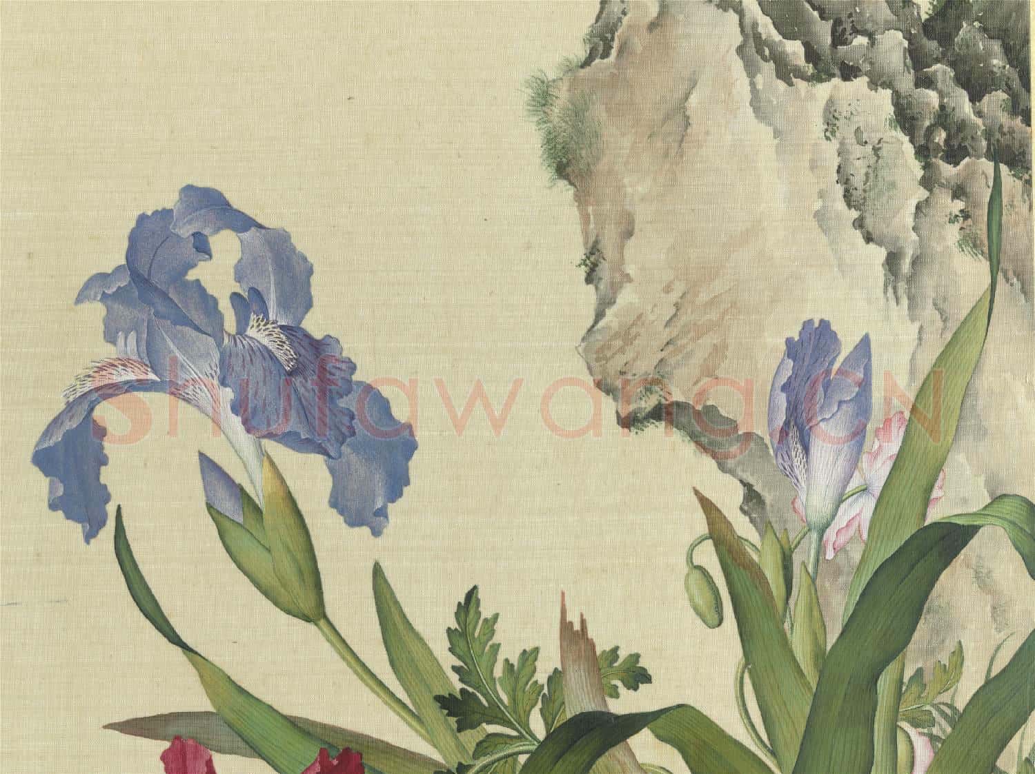 清郎世寧畫仙萼長春 冊 虞美人蝴蝶花