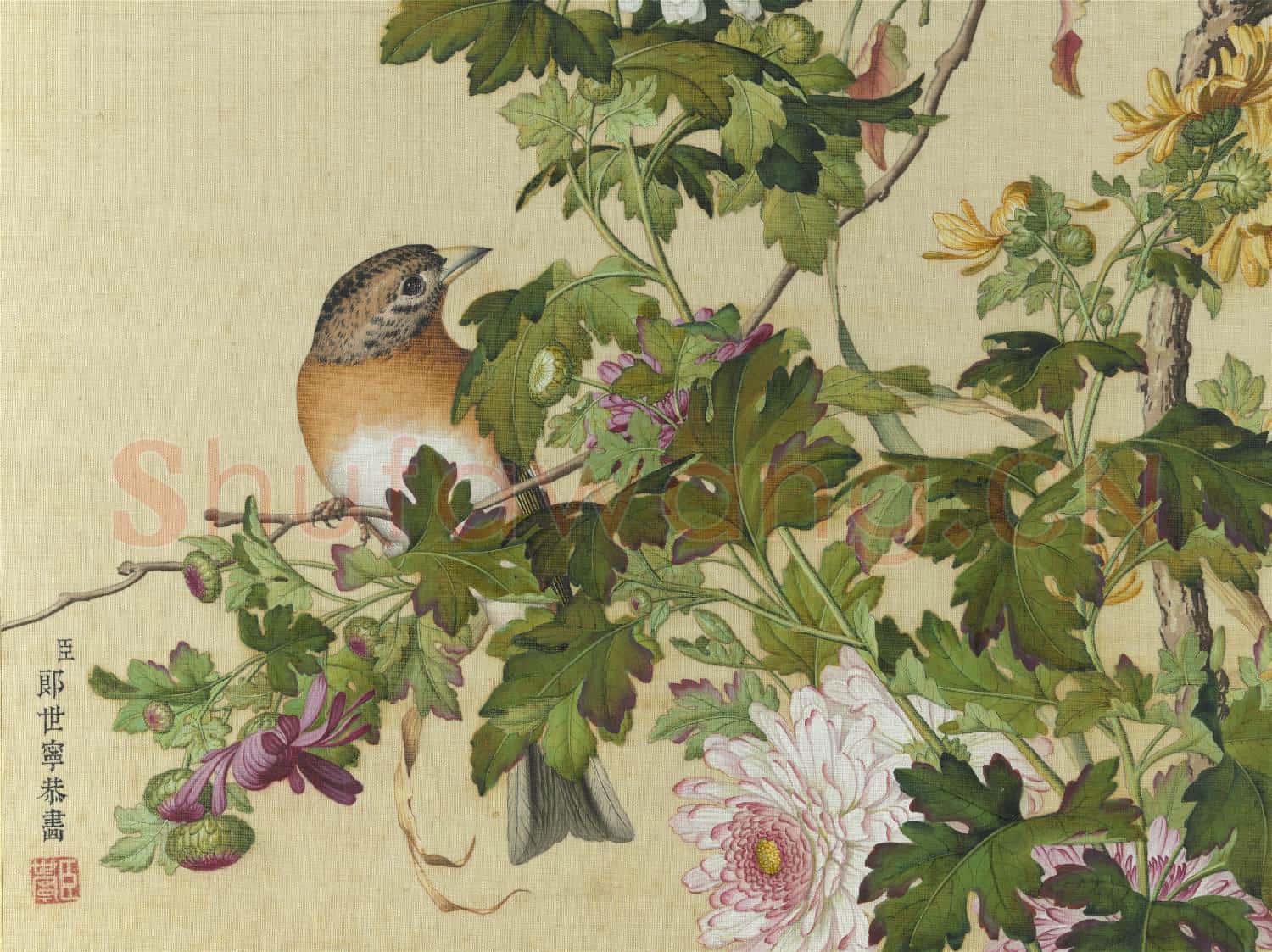 清郎世寧畫仙萼長春 冊 菊花