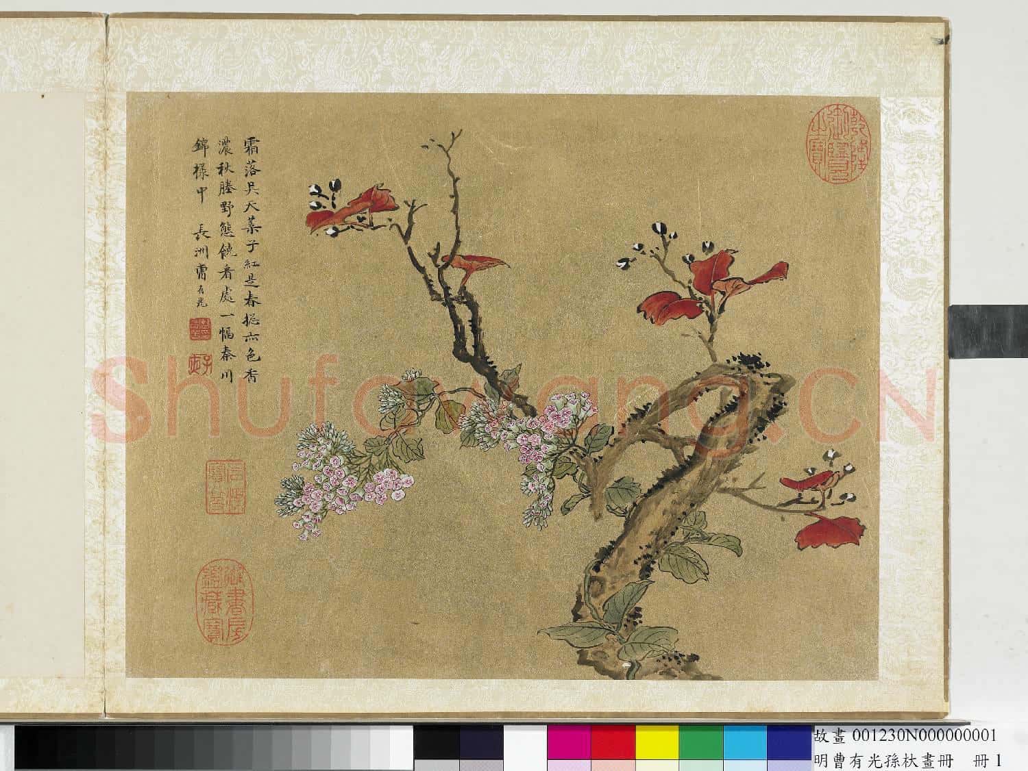 明曹有光孫杕畫冊 冊 秋花紅葉