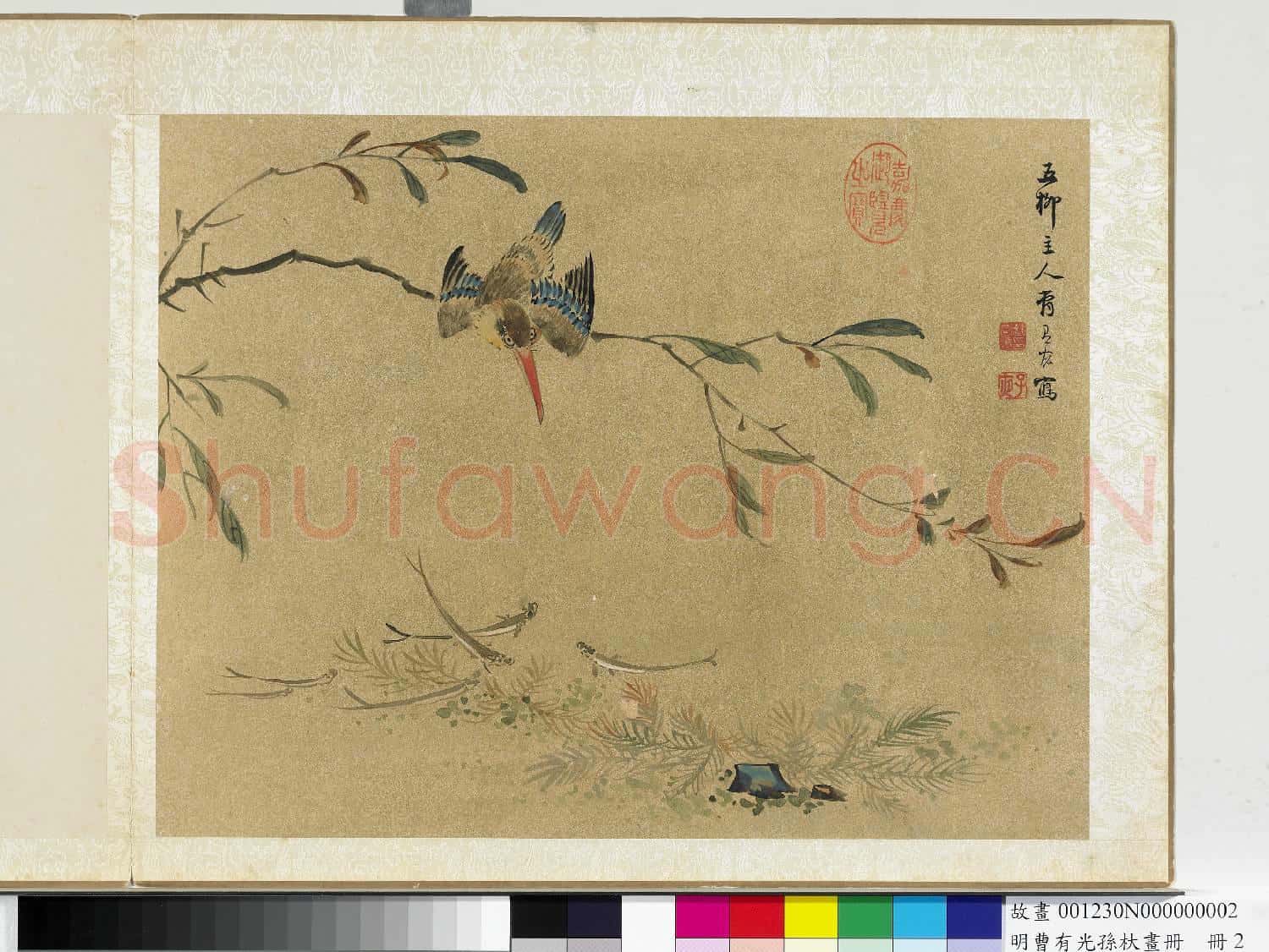明曹有光孫杕畫冊 冊 翠鳥鯈魚圖