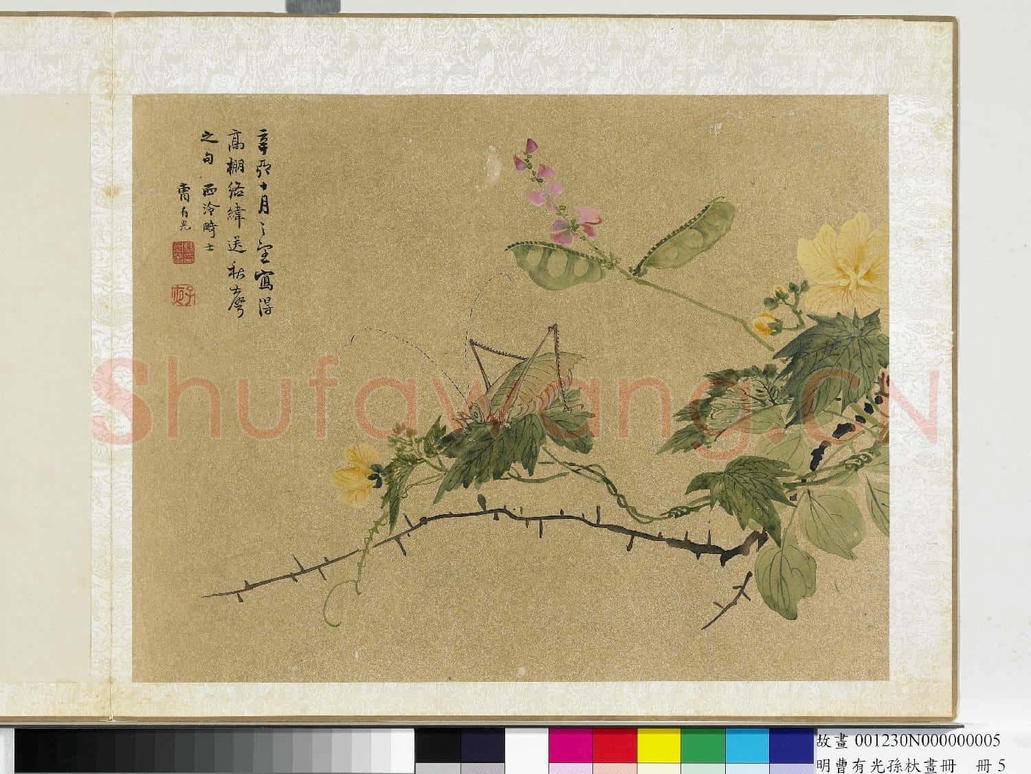 明曹有光孫杕畫冊 冊 野卉秋蟲