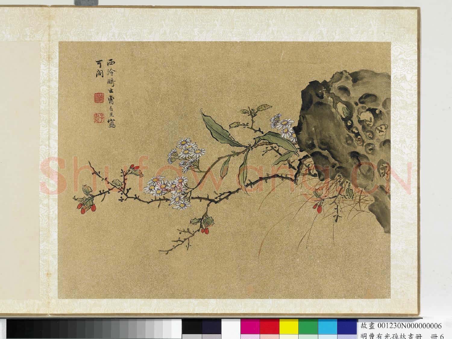 明曹有光孫杕畫冊 冊 杞實秋花