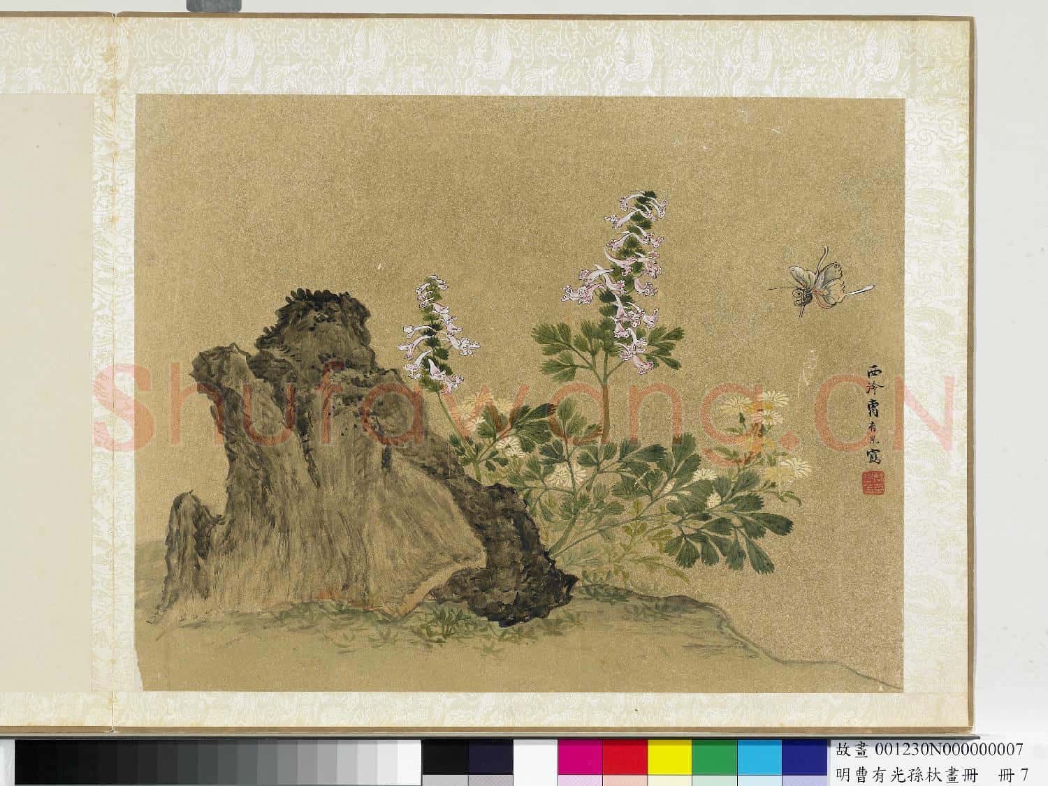 明曹有光孫杕畫冊 冊 奇石花蝶