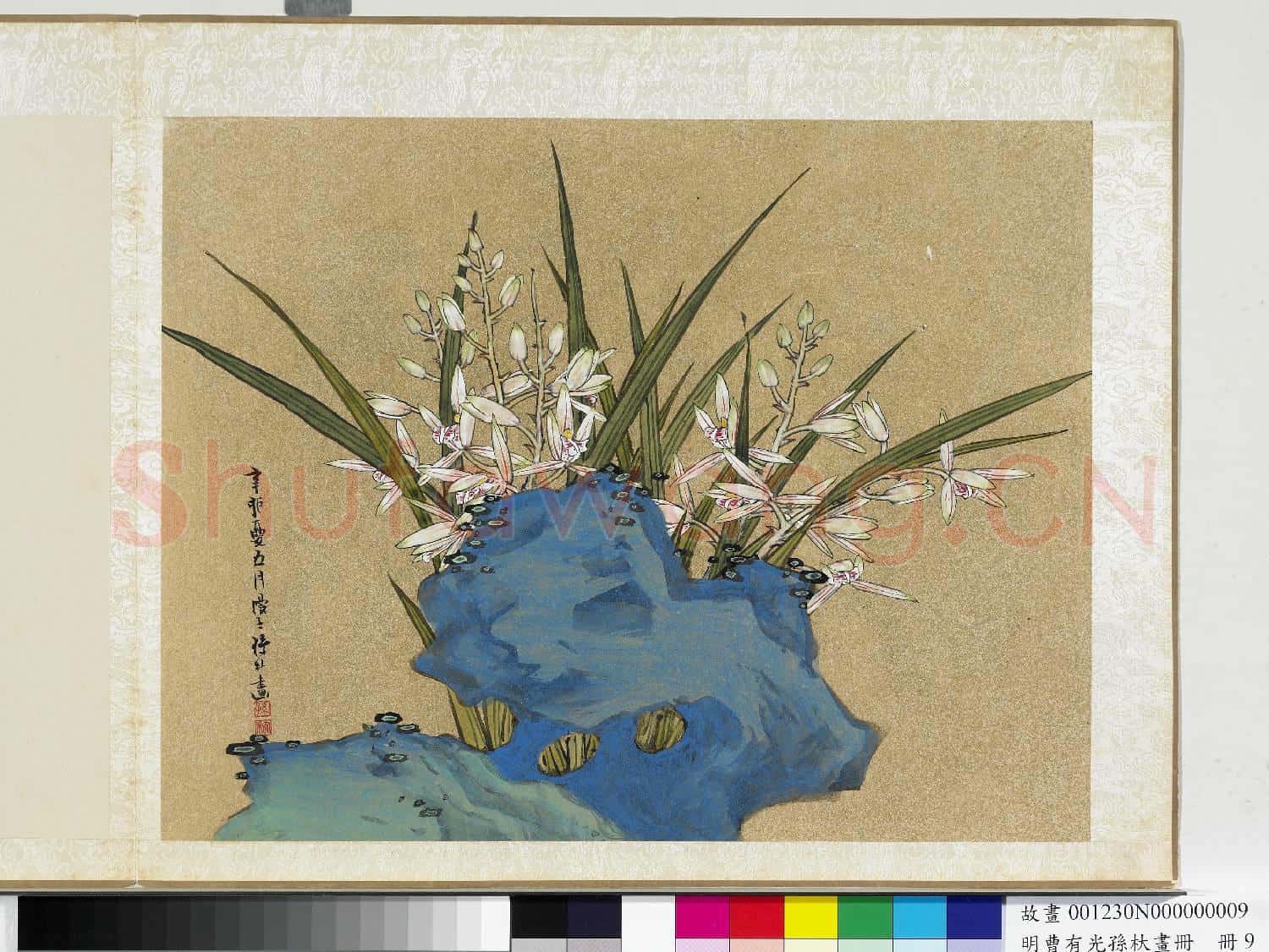 明曹有光孫杕畫冊 冊 蘭石圖