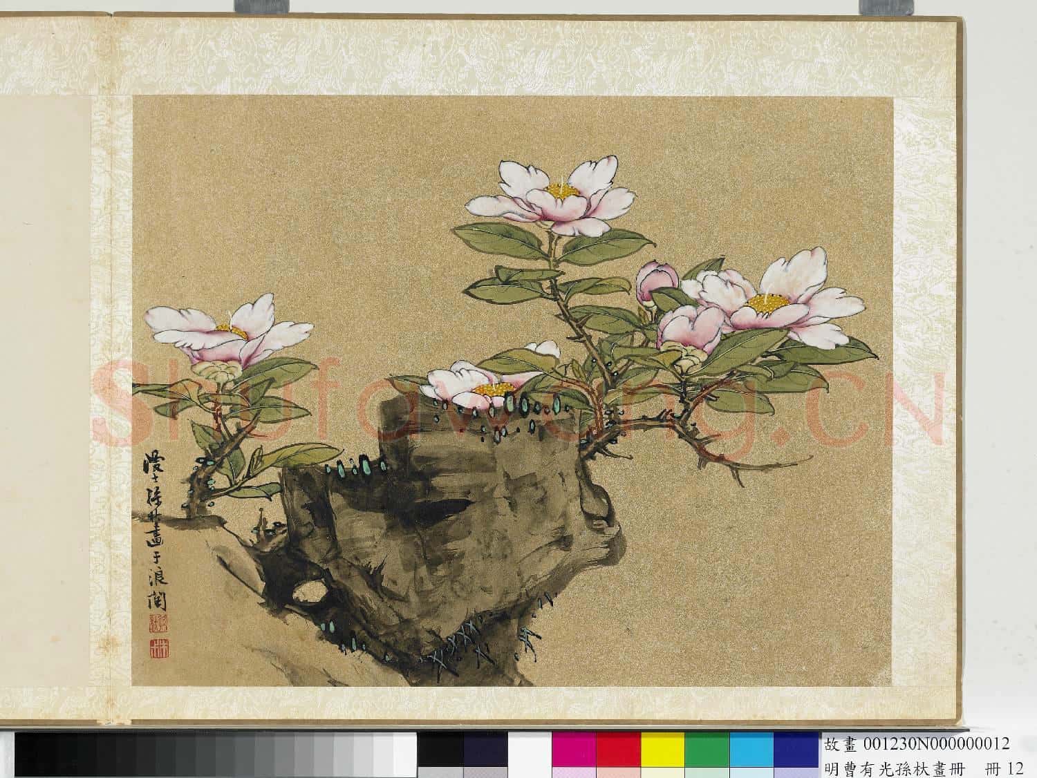 明曹有光孫杕畫冊 冊 畫茶花