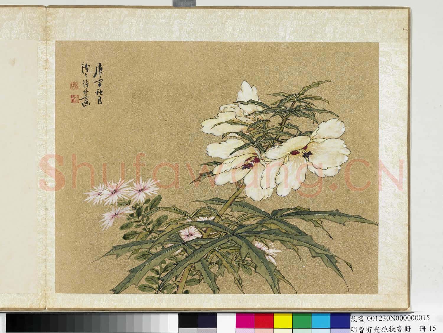 明曹有光孫杕畫冊 冊 畫秋葵