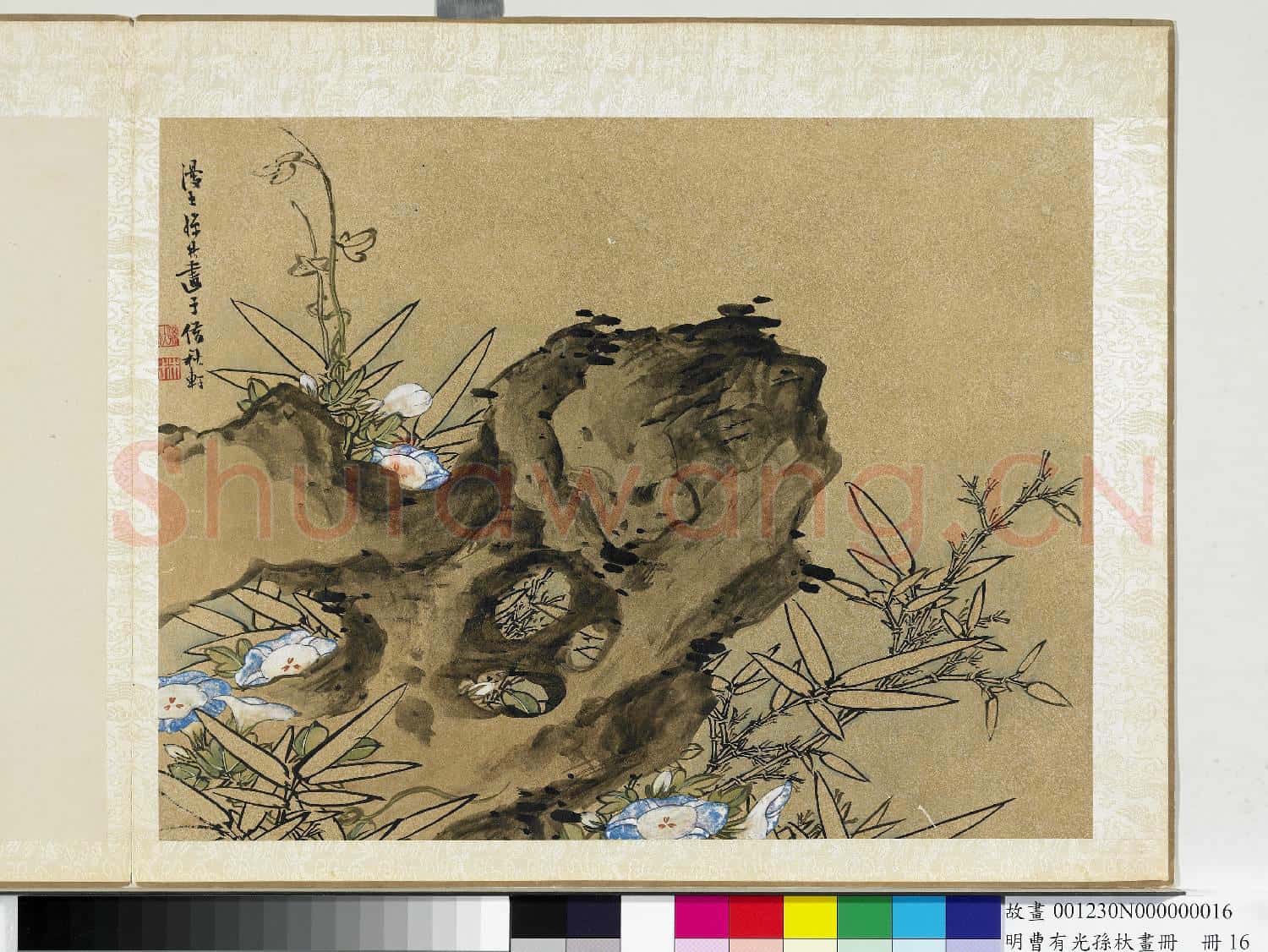 明曹有光孫杕畫冊 冊 畫竹石牽牛