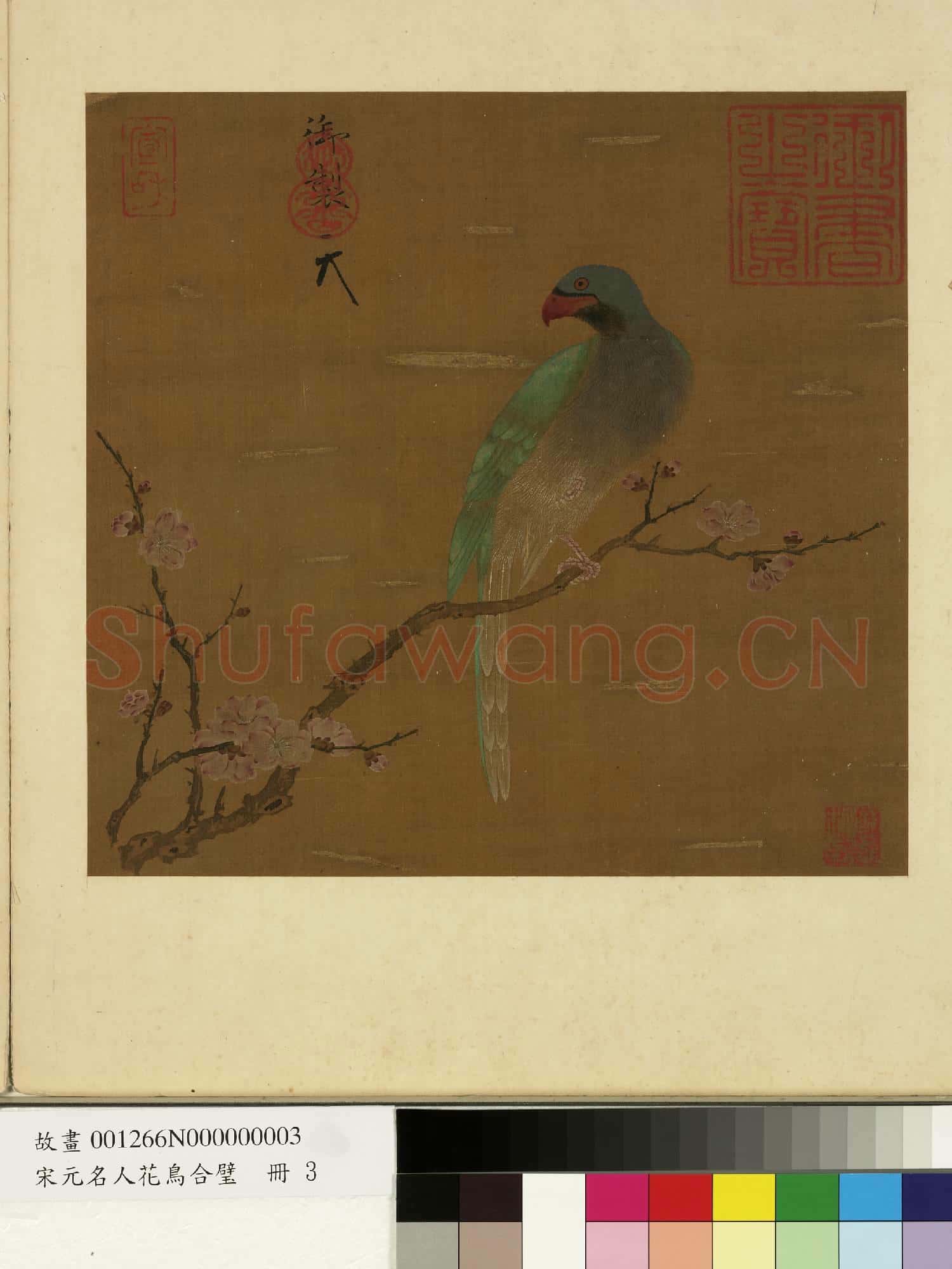 宋元名人花鳥合璧 冊 宋徽宗杏花鸚鵡