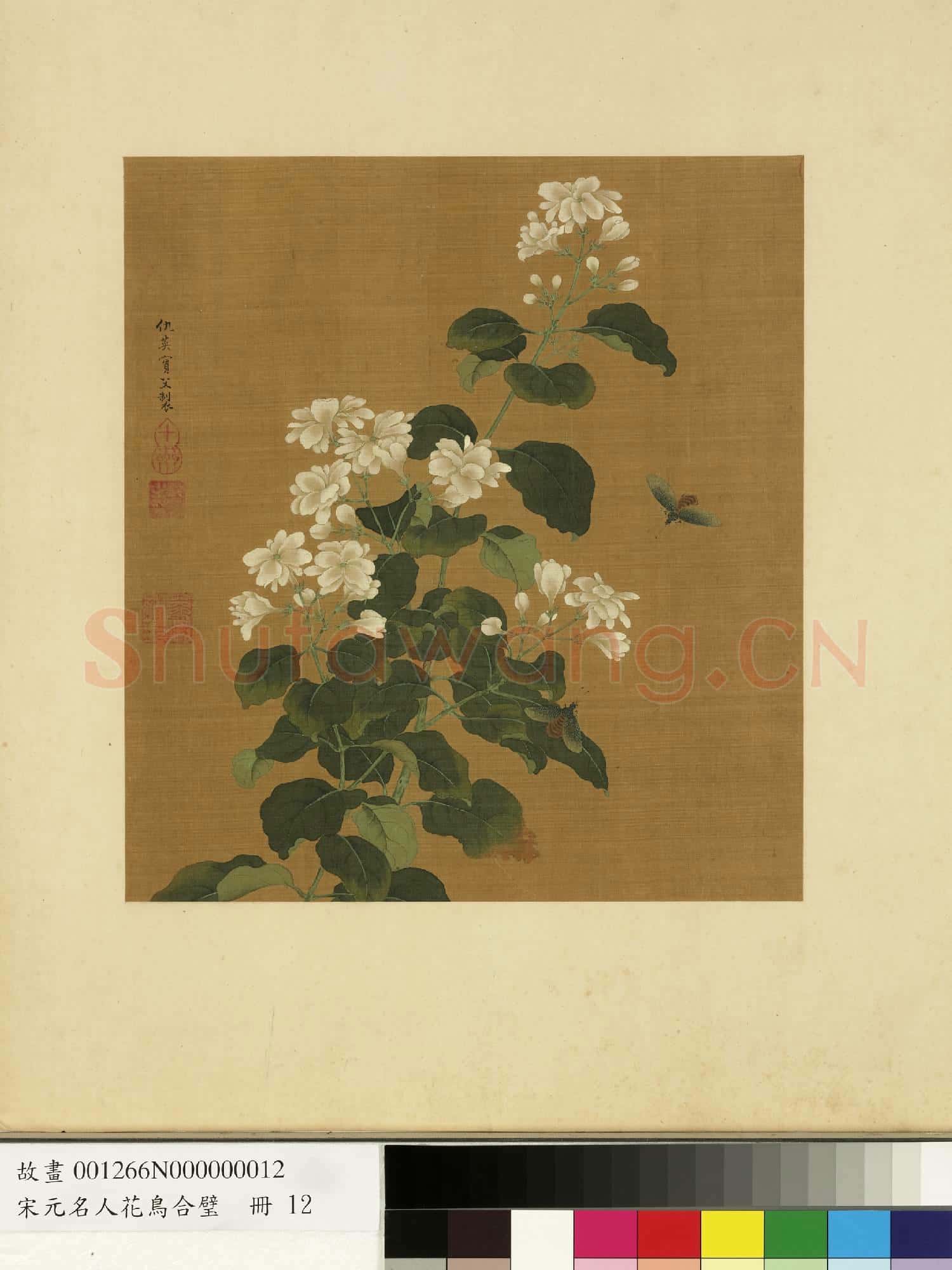 宋元名人花鳥合璧 冊 明仇英花卉草蟲
