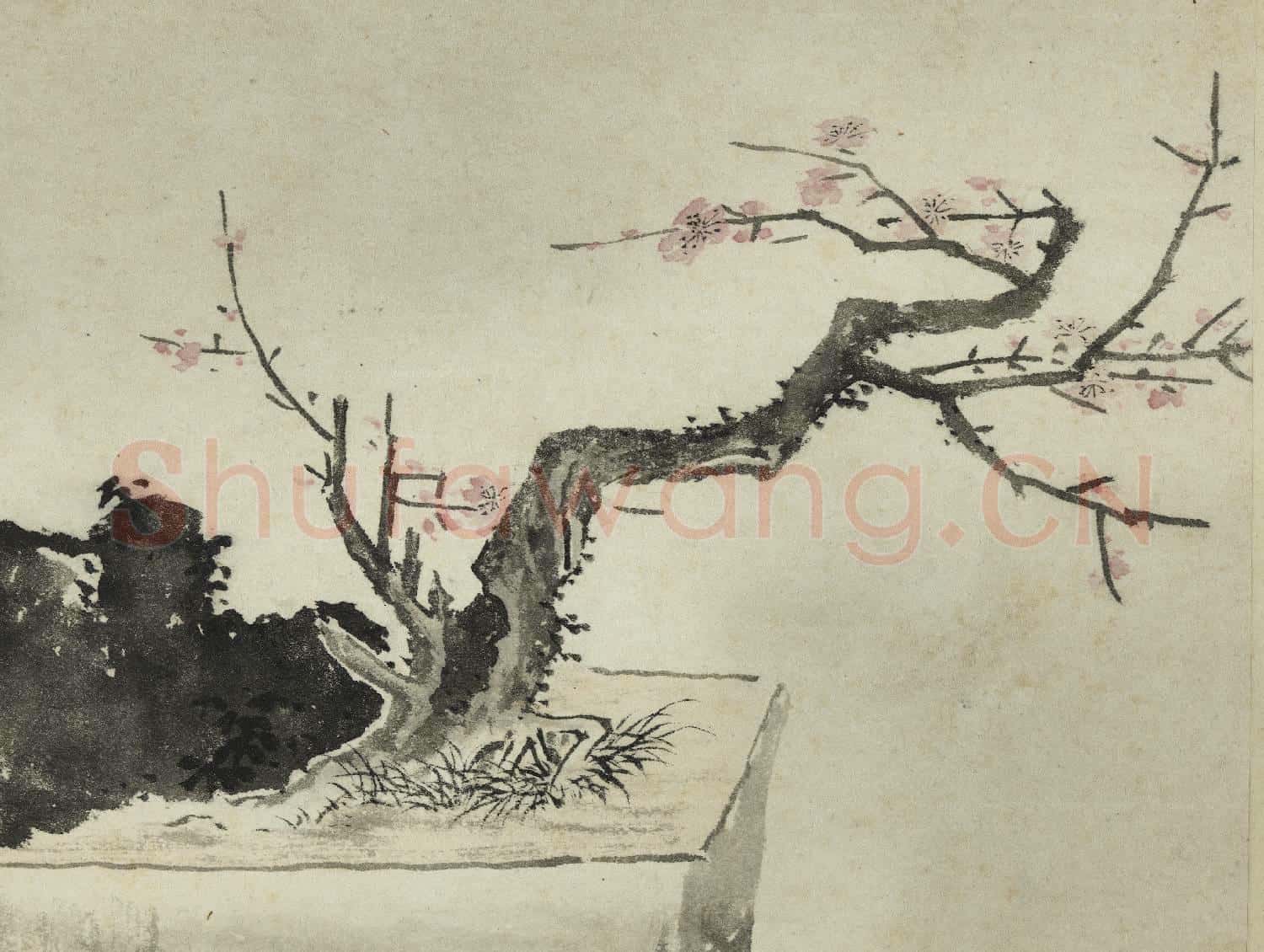 國朝名繪 冊 清費而奇盆梅