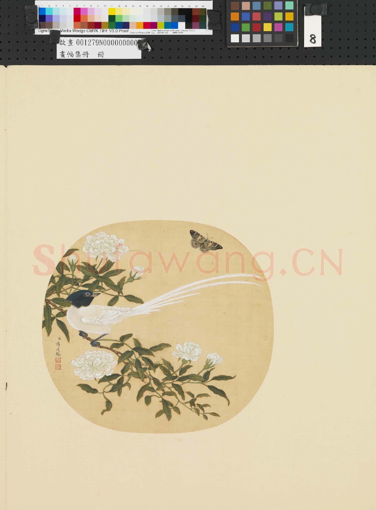 畫幅集冊 冊 清蔣廷錫花卉