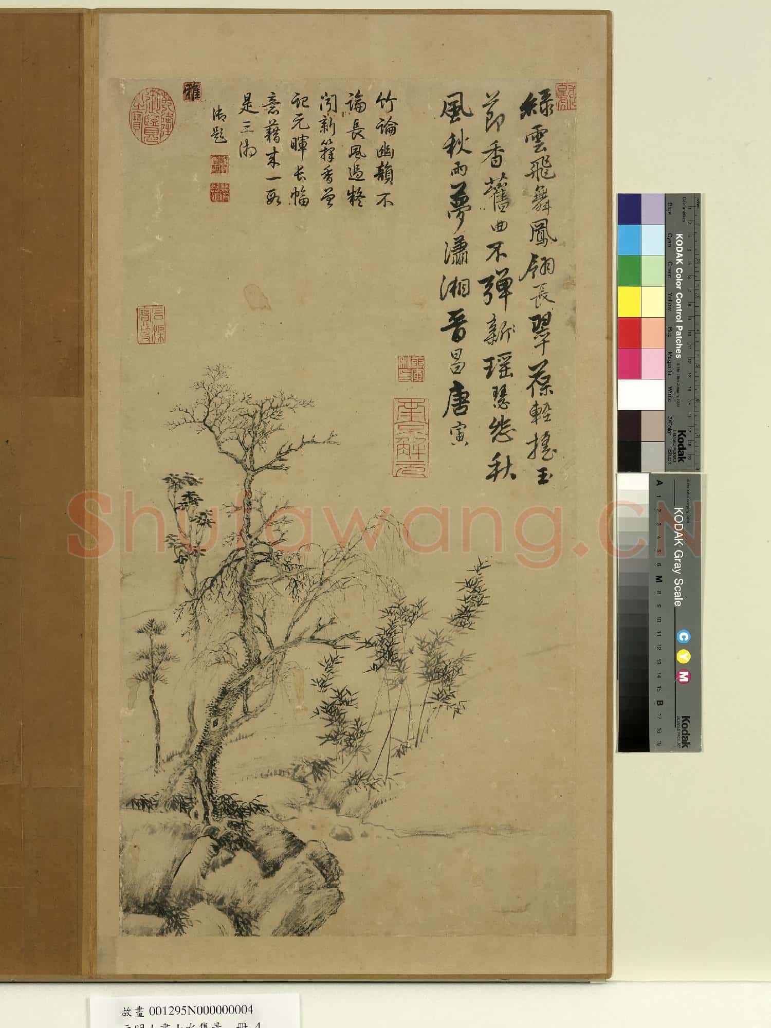 元明人畫山水集景 冊 明唐寅枯木竹石