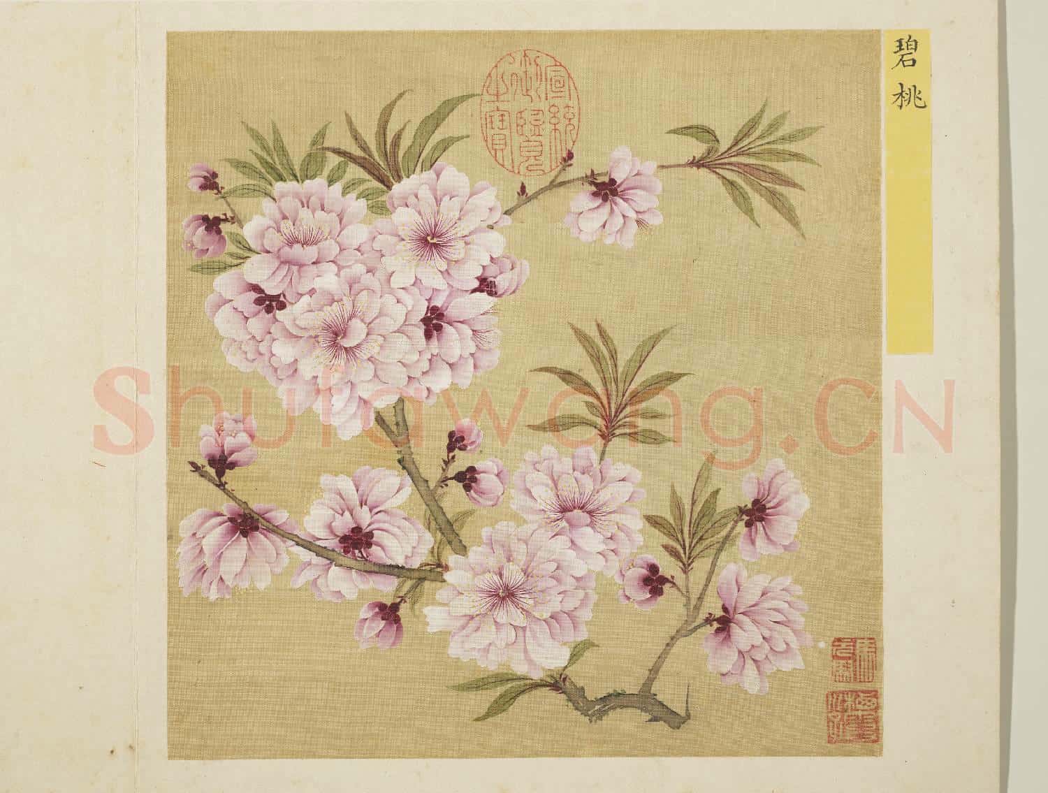 清馬元馭花卉 冊 碧桃