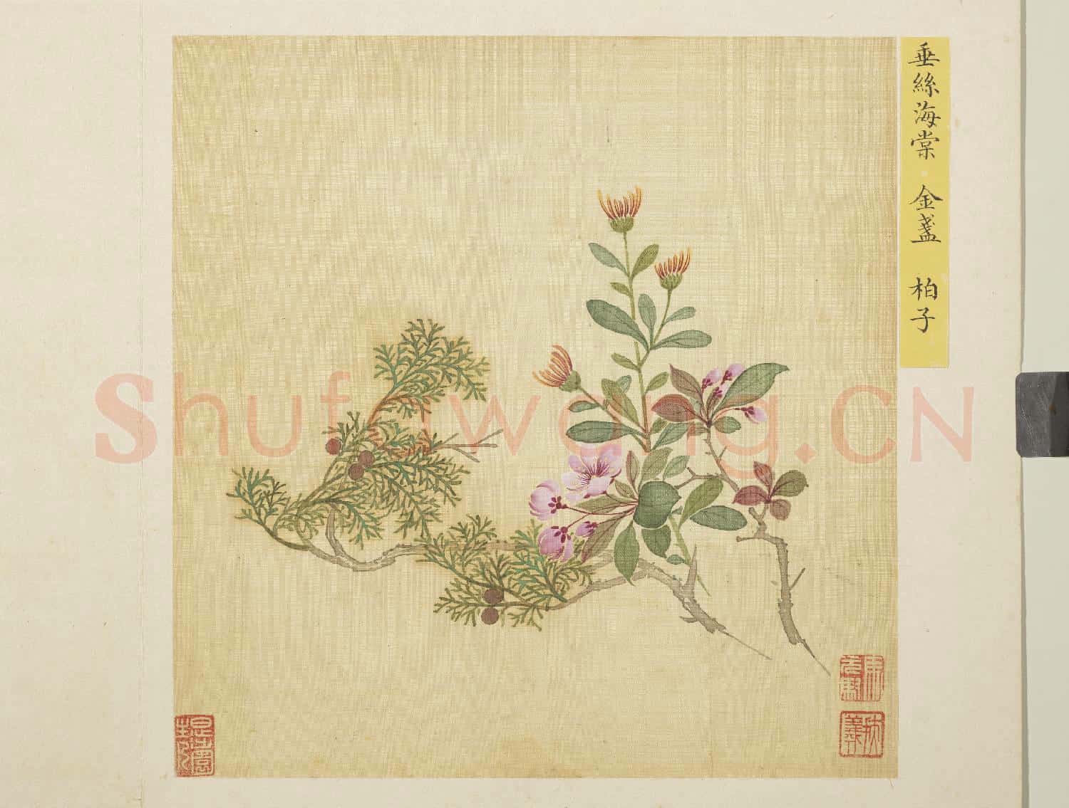 清馬元馭花卉 冊 海棠金盞柏子
