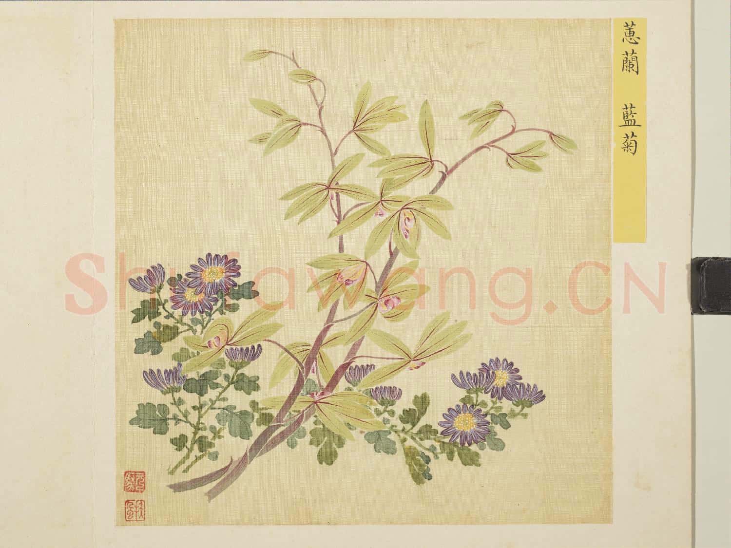 清馬元馭花卉 冊 蕙蘭藍菊