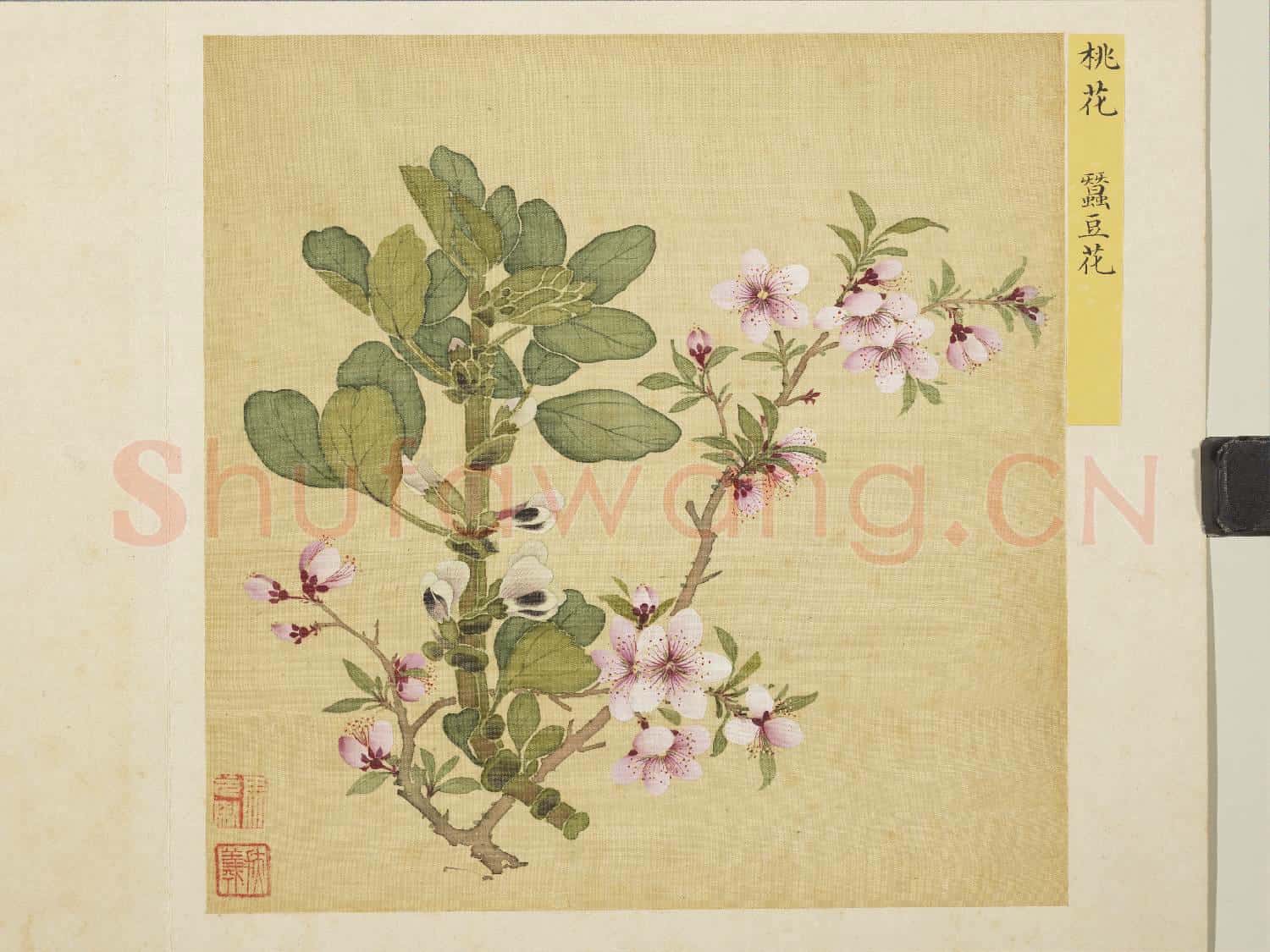 清馬元馭花卉 冊 桃花蠶豆花