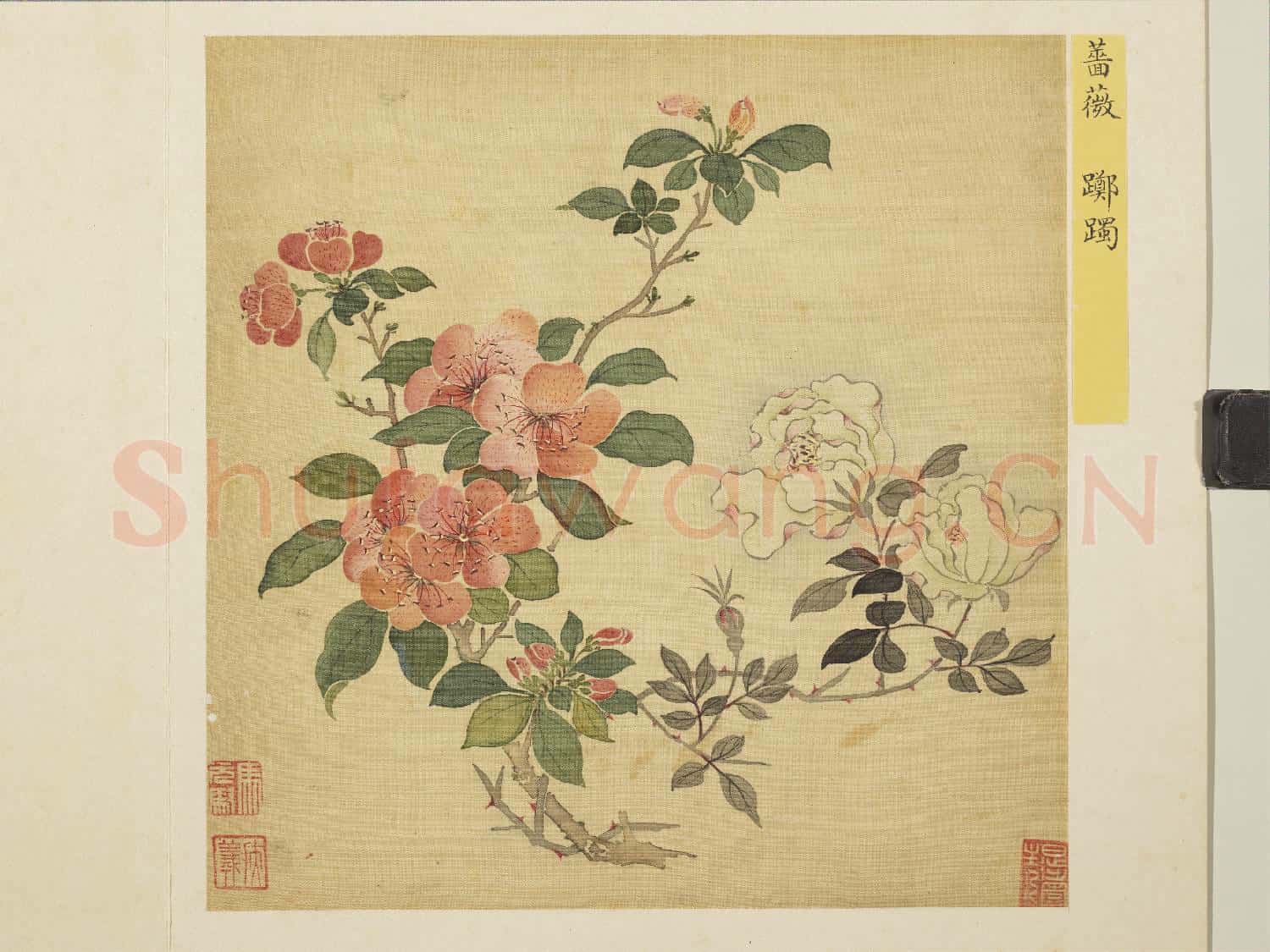清馬元馭花卉 冊 薔薇躑躅