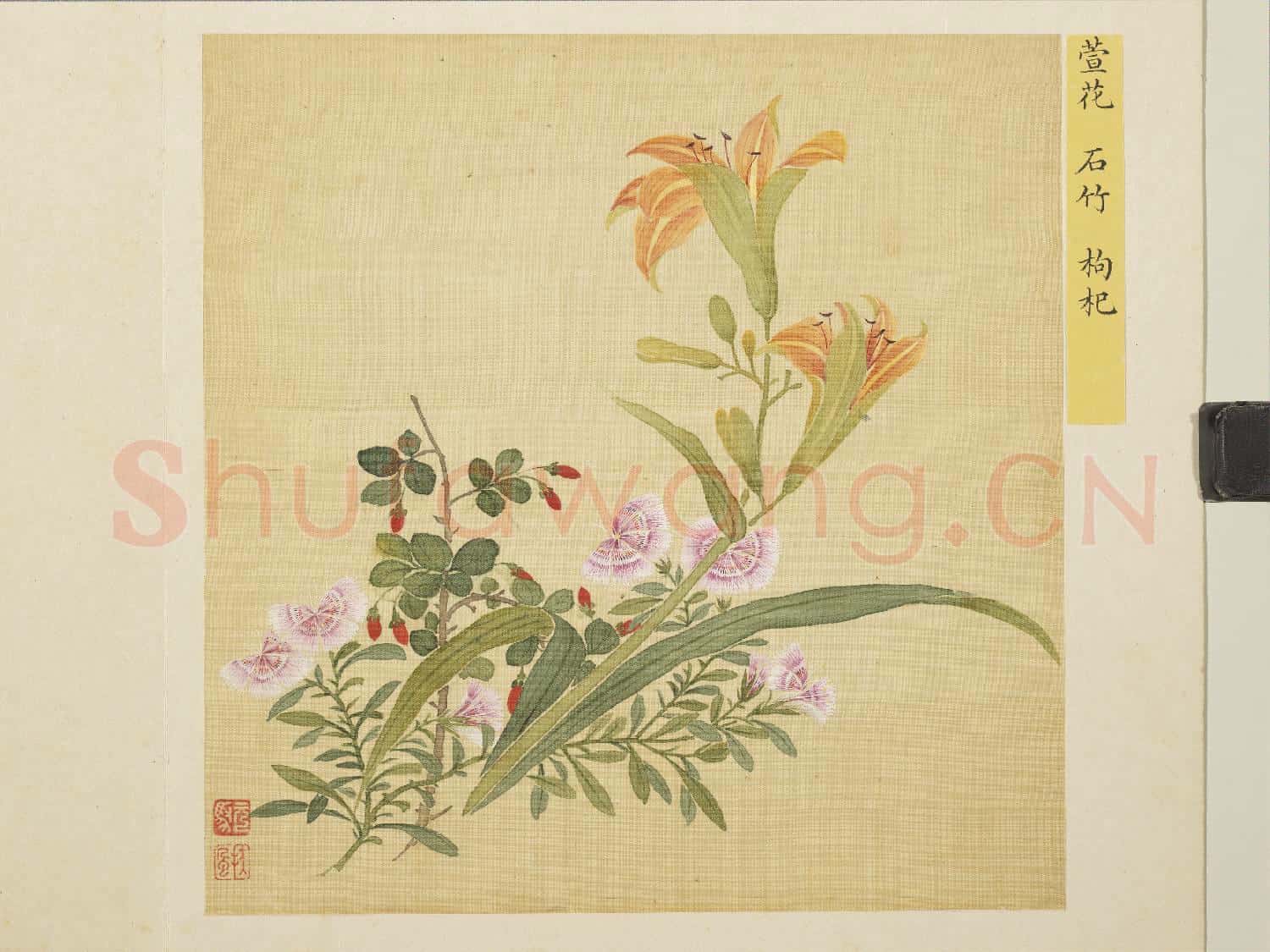 清馬元馭花卉 冊 萱花石竹枸杞